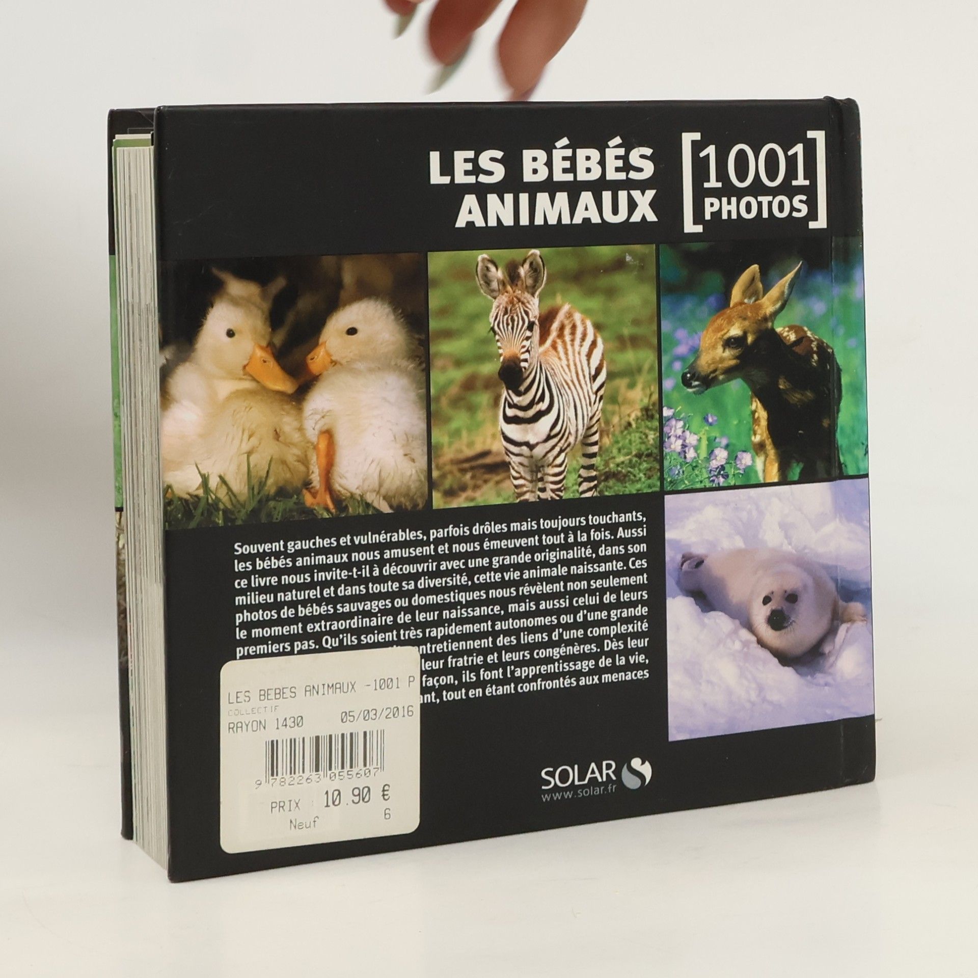 Suzanne Millarca Les bébés animaux en 1001 photos