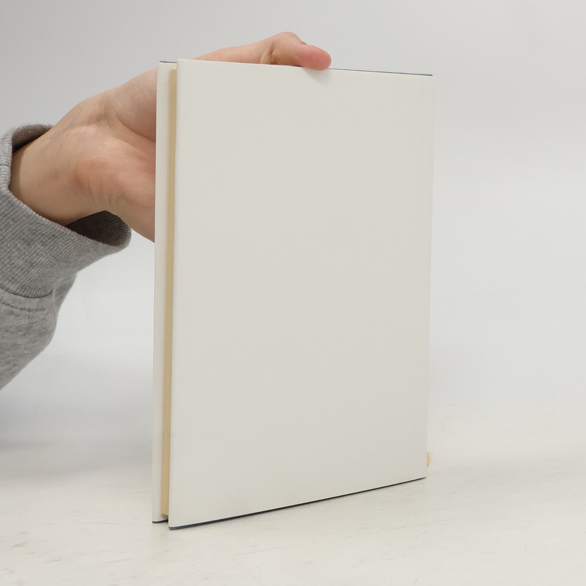 Various authors Zaváté doby se probouzejí: Život Ježíšův na Zemi