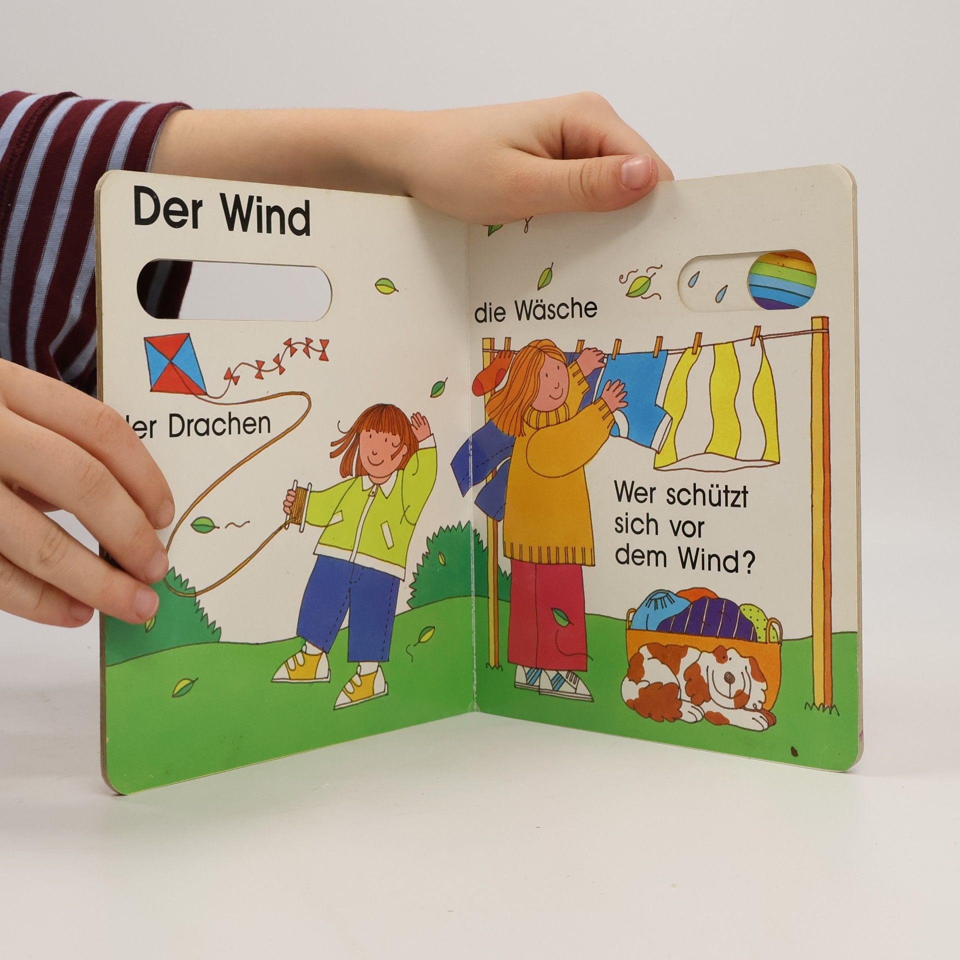 Lynn Snowden Das Wetter
