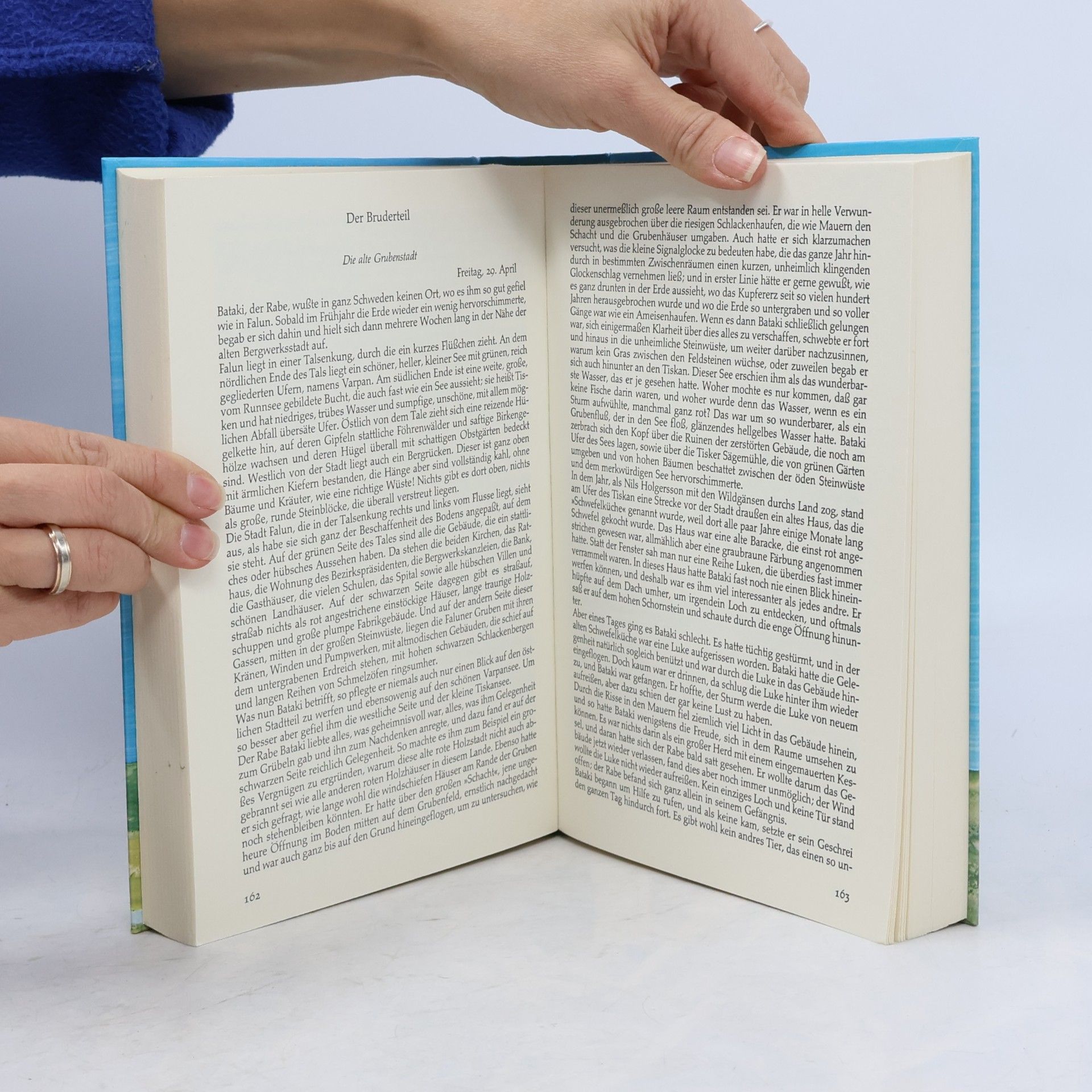 Selma Lagerlöf Die schönsten Geschichten von Nils Holgersson und den Wildgänsen