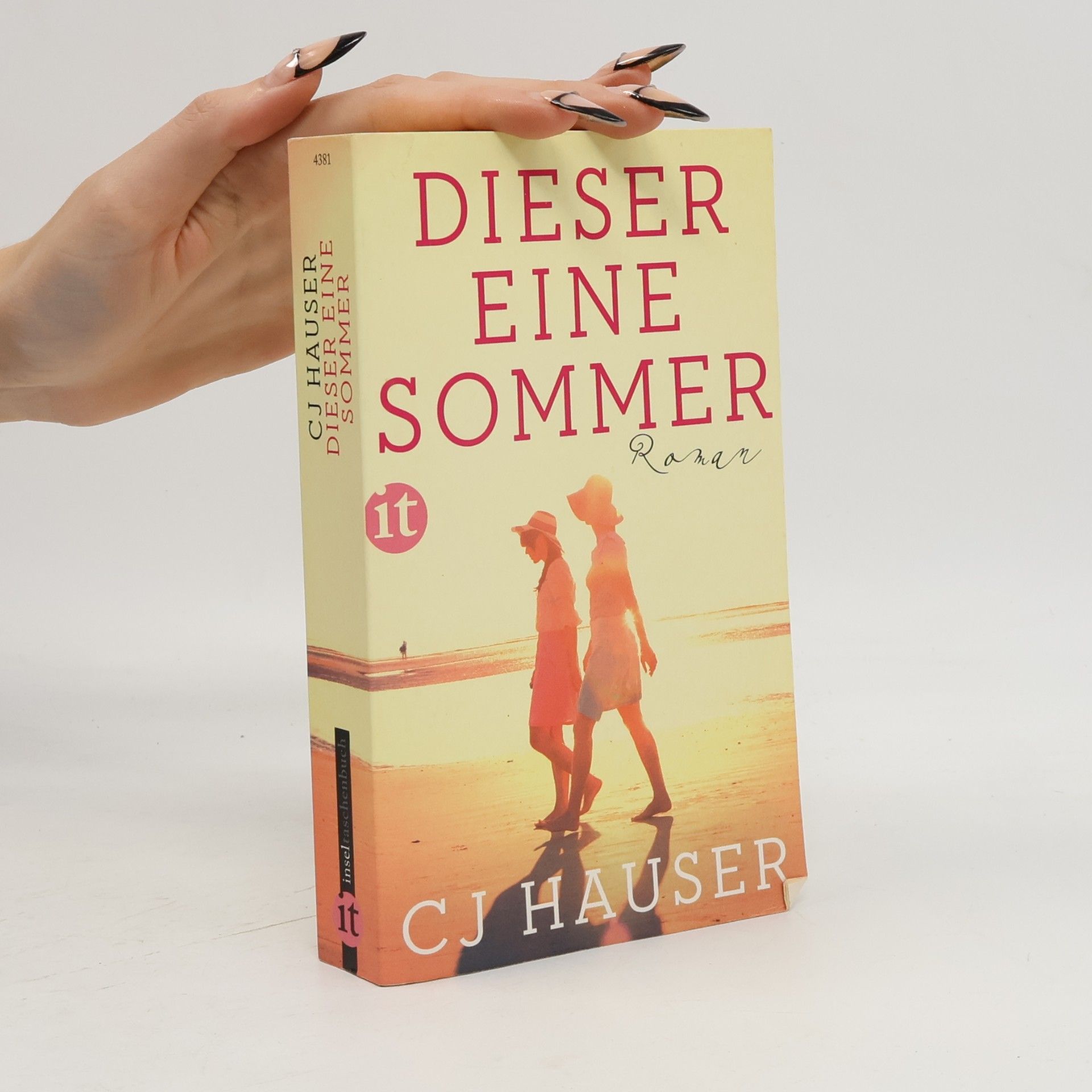 Dieser eine Sommer