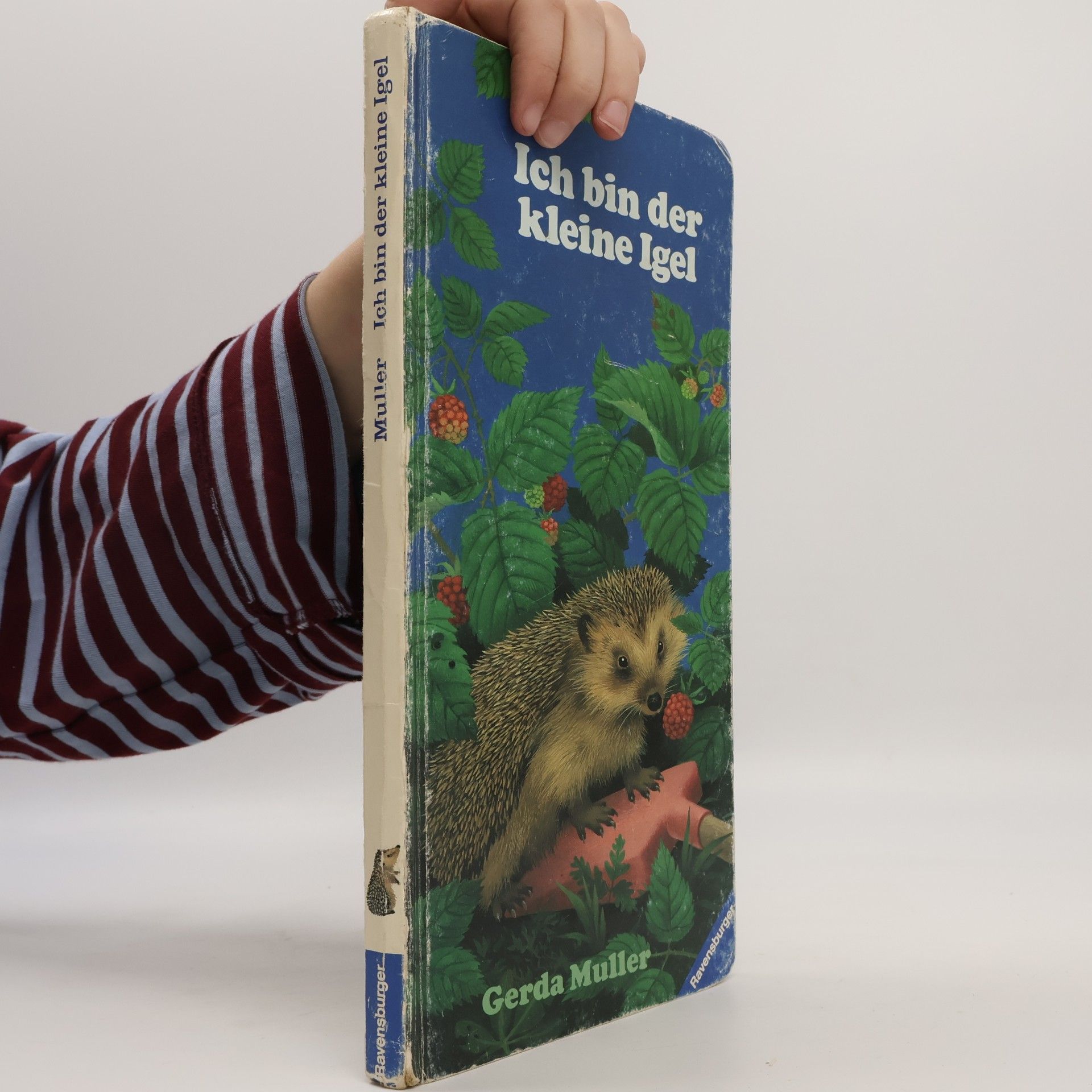 Ich bin der kleine Igel