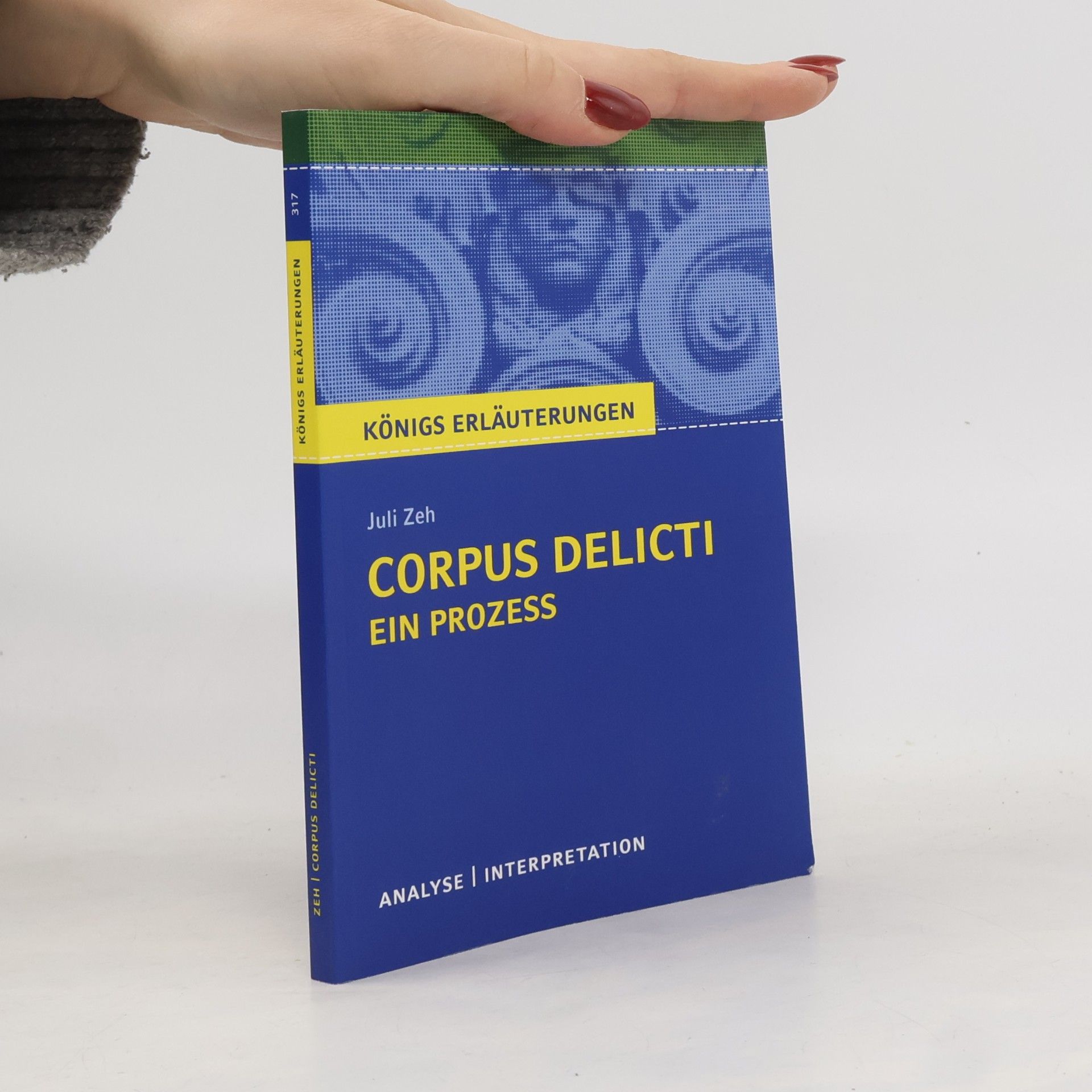 Textanalyse und Interpretation zu Juli Zeh, Corpus delicti, ein Prozess