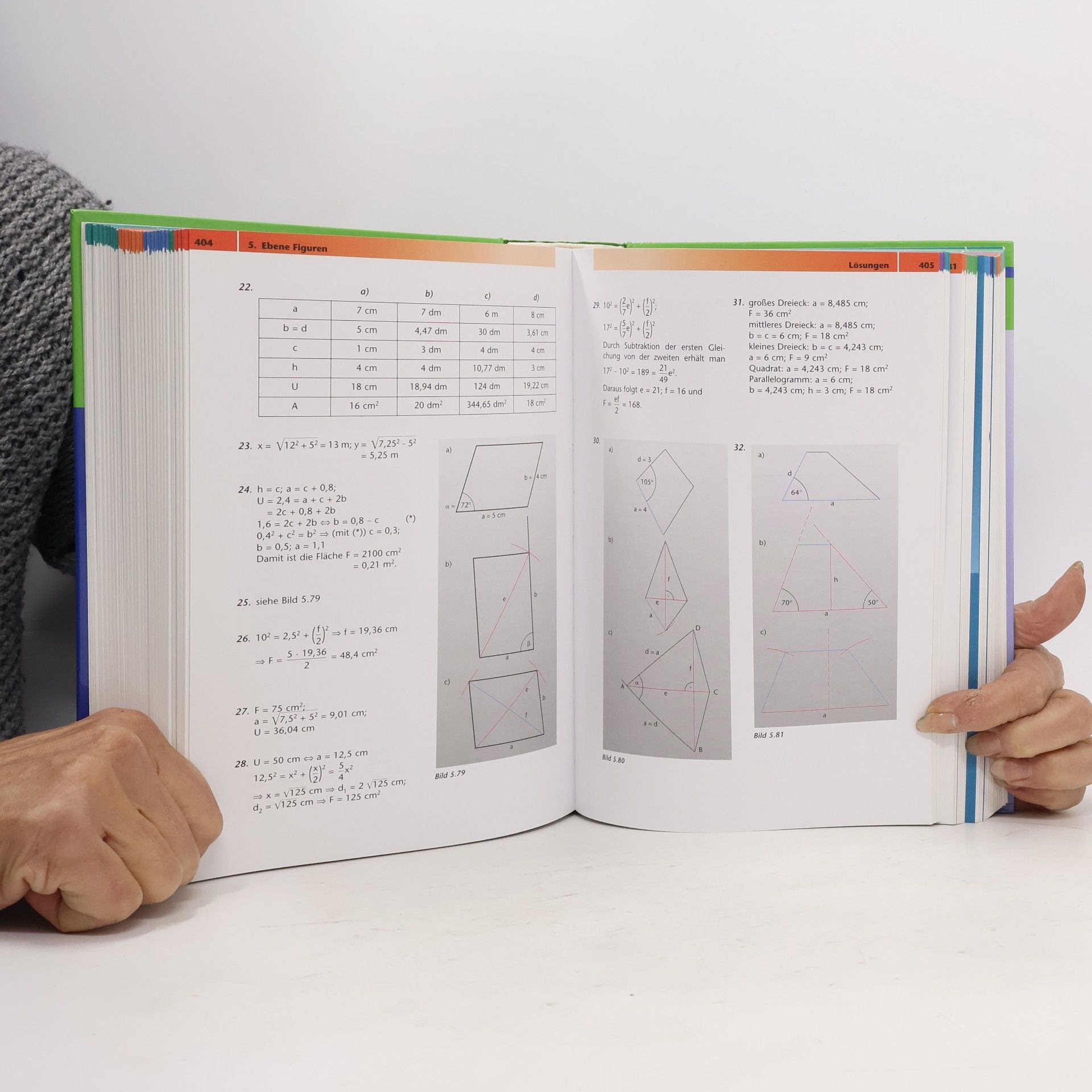 Wolfgang Scholl Handbuch Mathematik