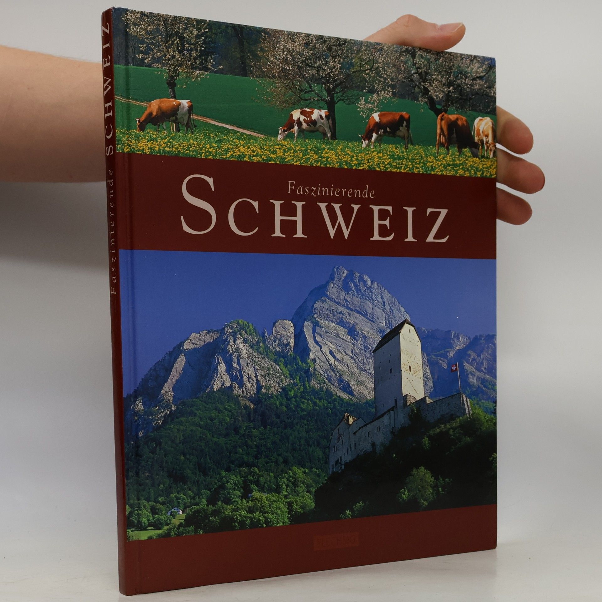 Roland Gerth Faszinierende Schweiz