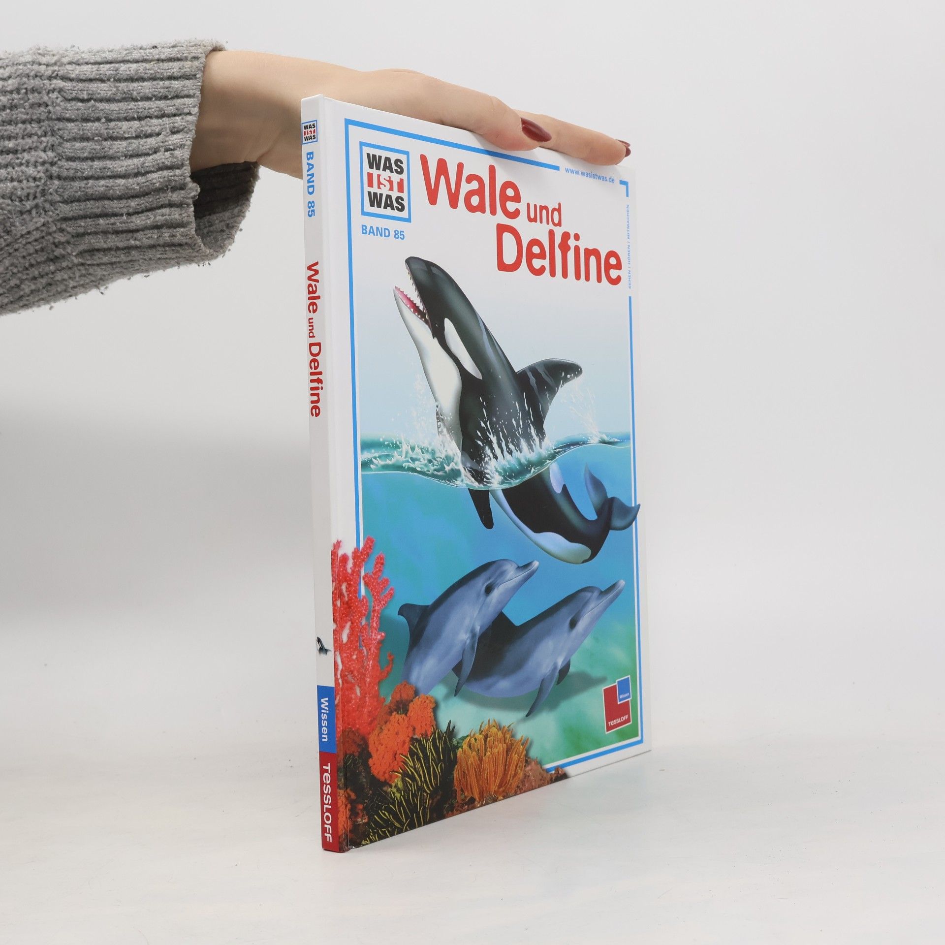 Wale und Delfine