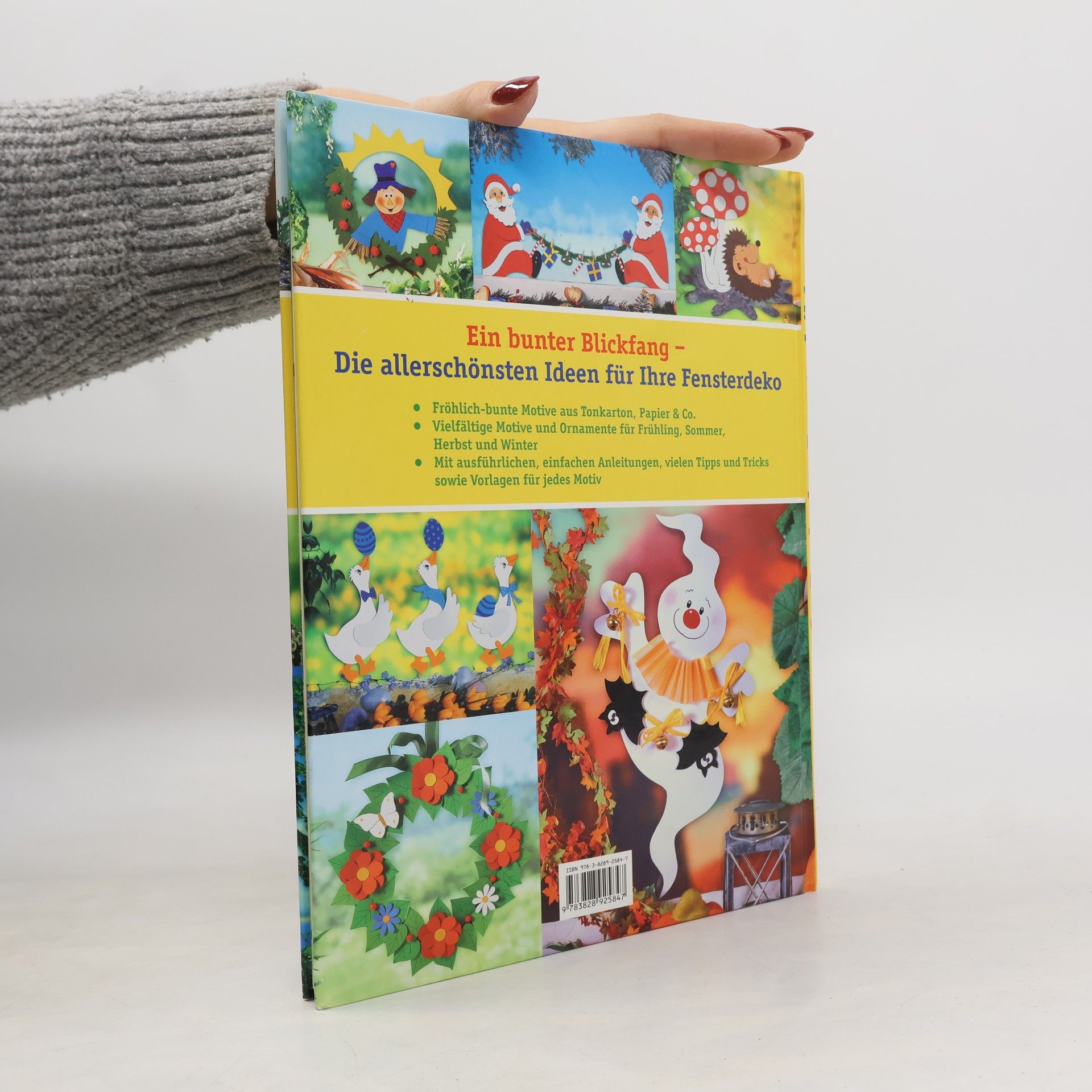 Petra Hassler Das große Buch der Fensterbilder