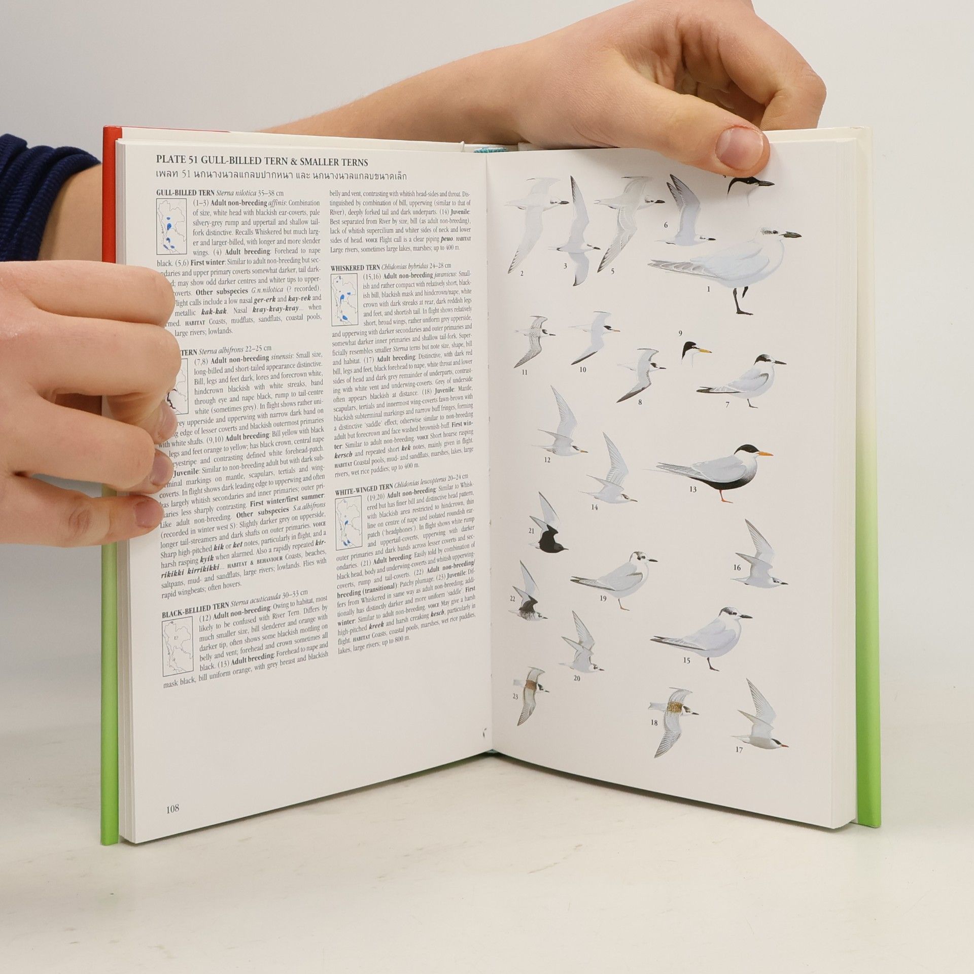Craig Robson A Field Guide to the Birds of Thailand