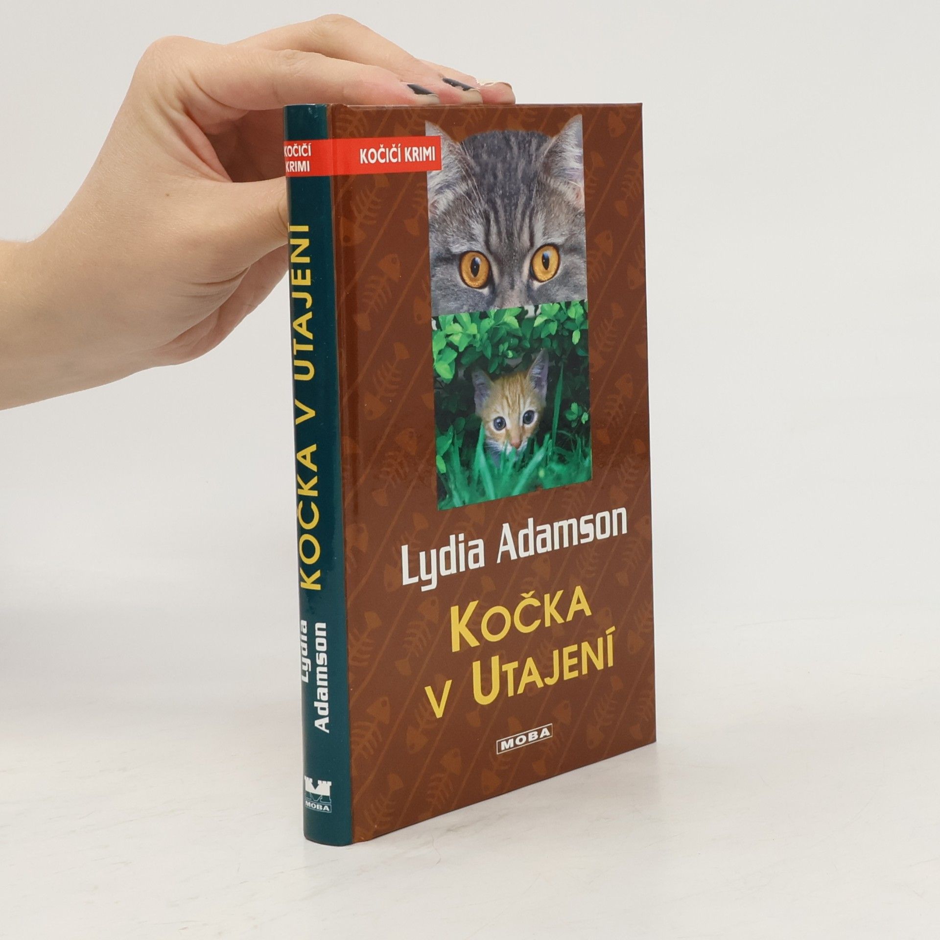 Kočka v utajení
