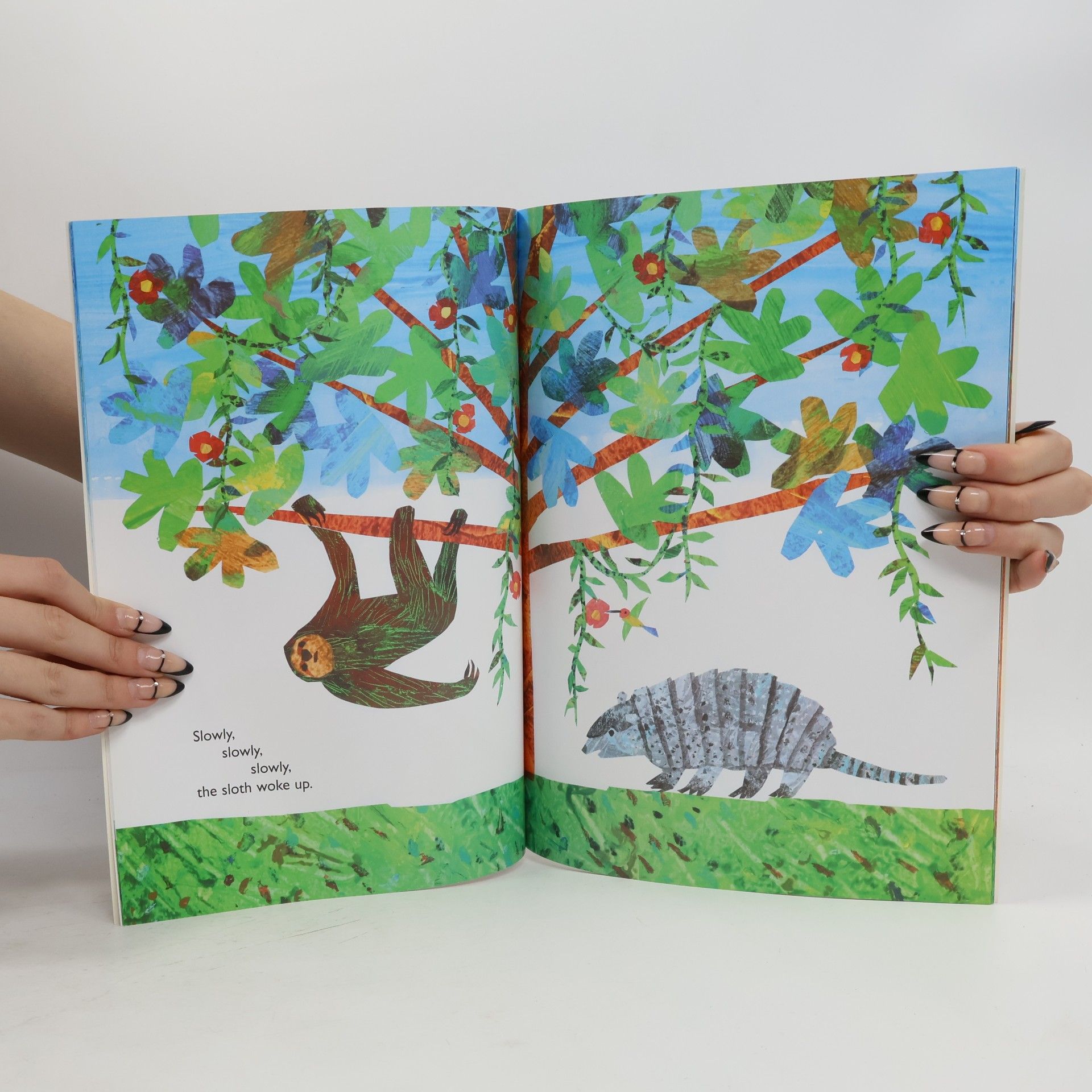 Eric Carle "Slowly, Slowly, Slowly," Said the Sloth