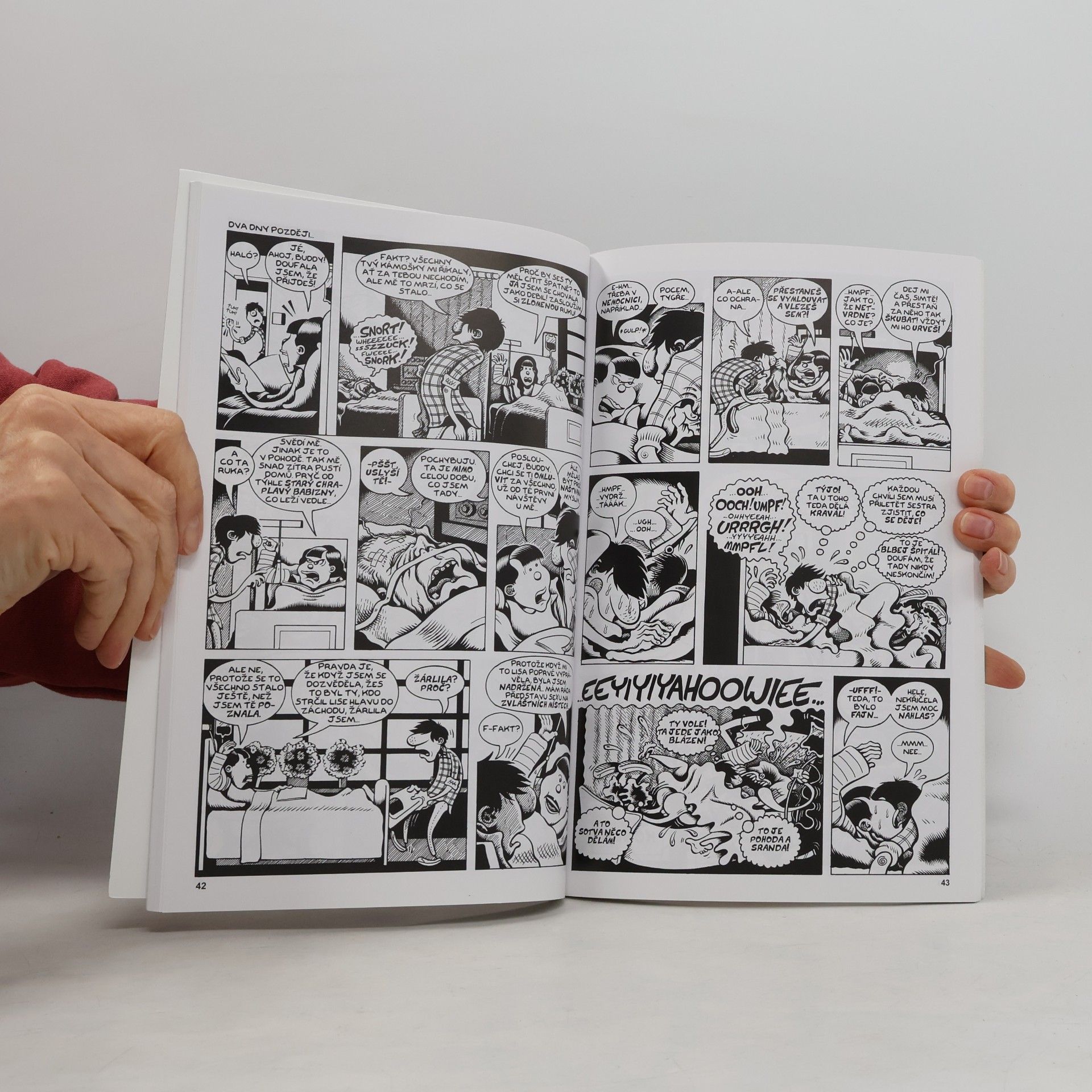 Peter Bagge Hej, Buddy!