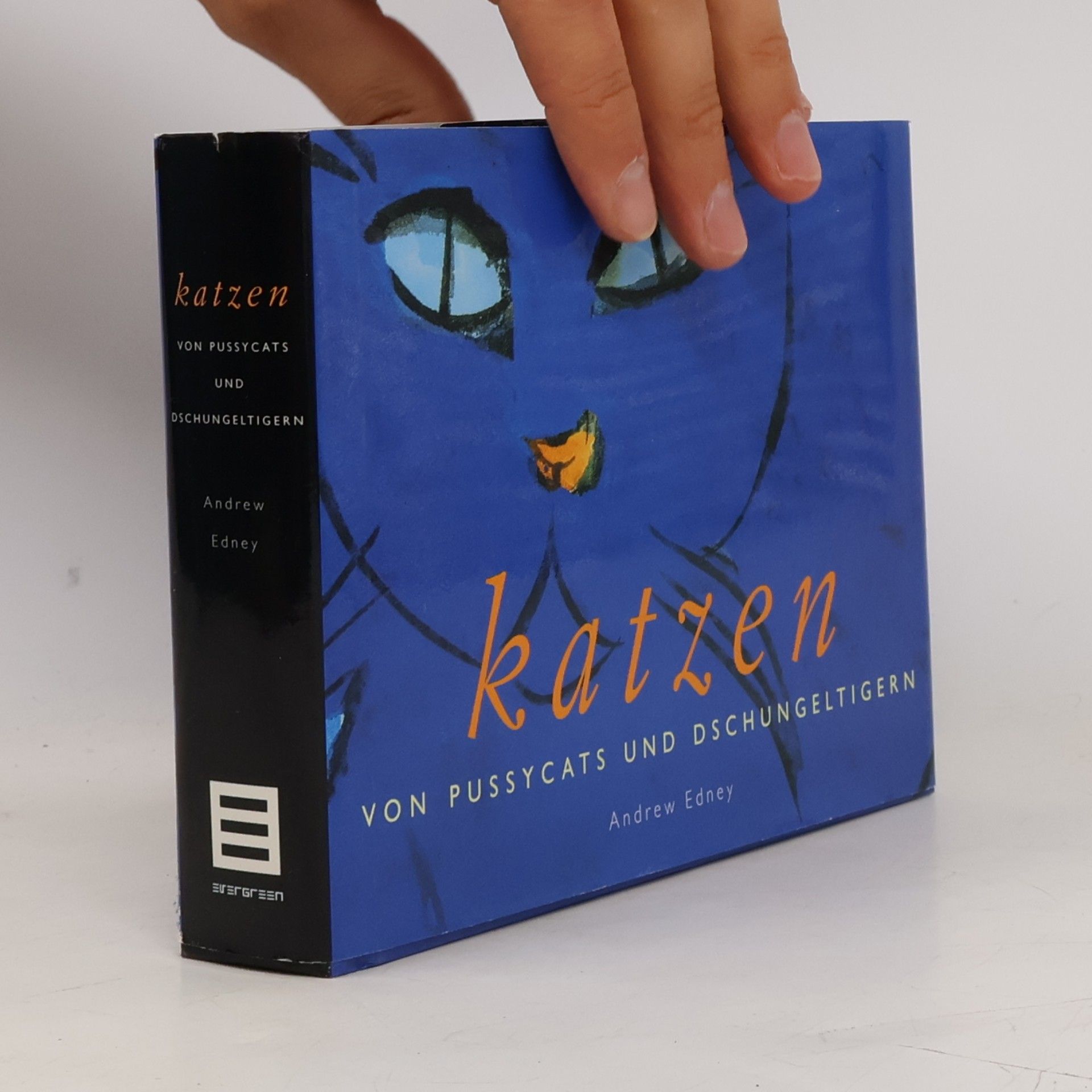 Katzen