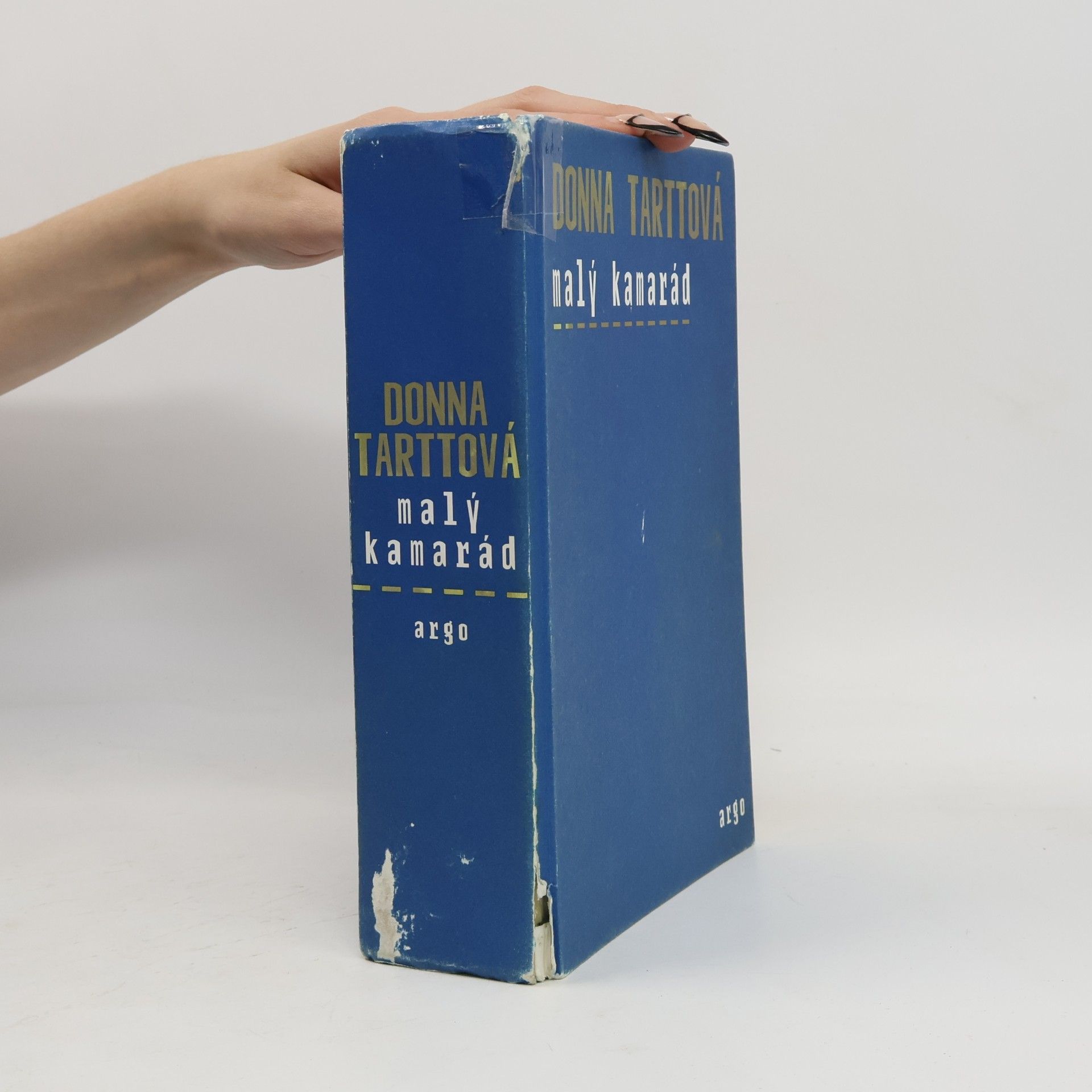 Donna Tartt Malý kamarád