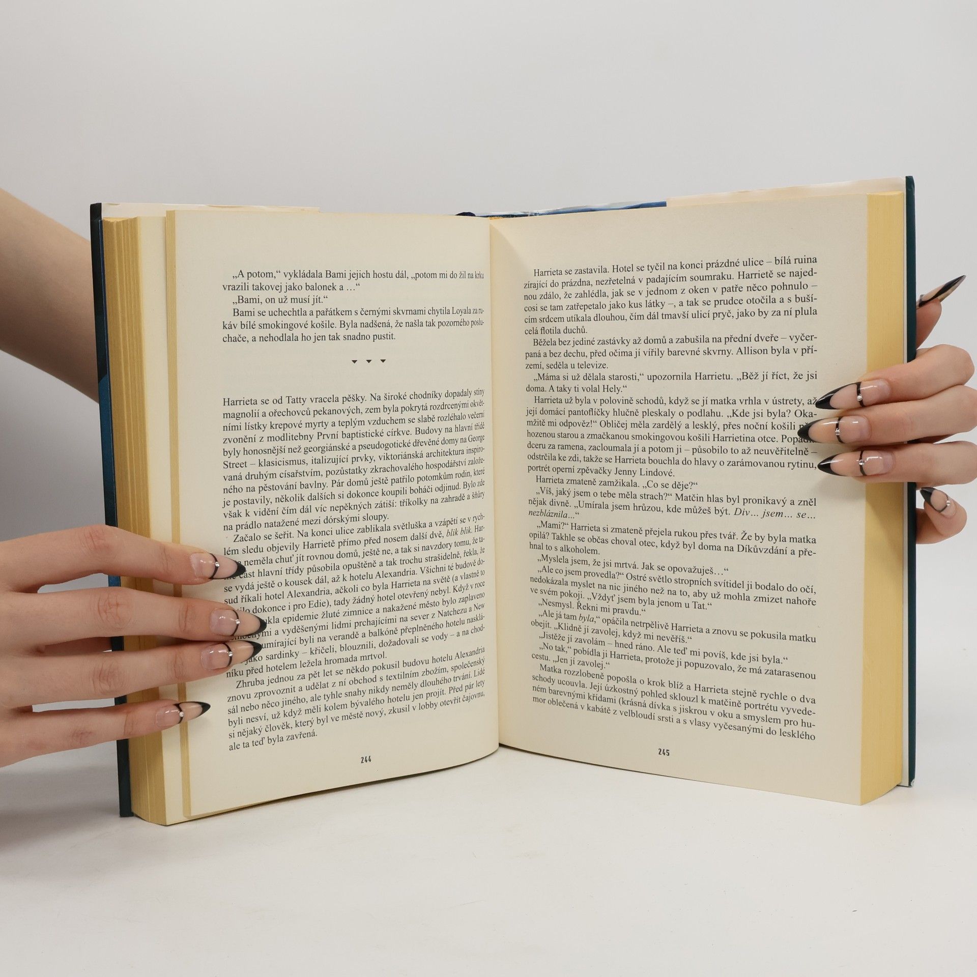 Donna Tartt Malý kamarád