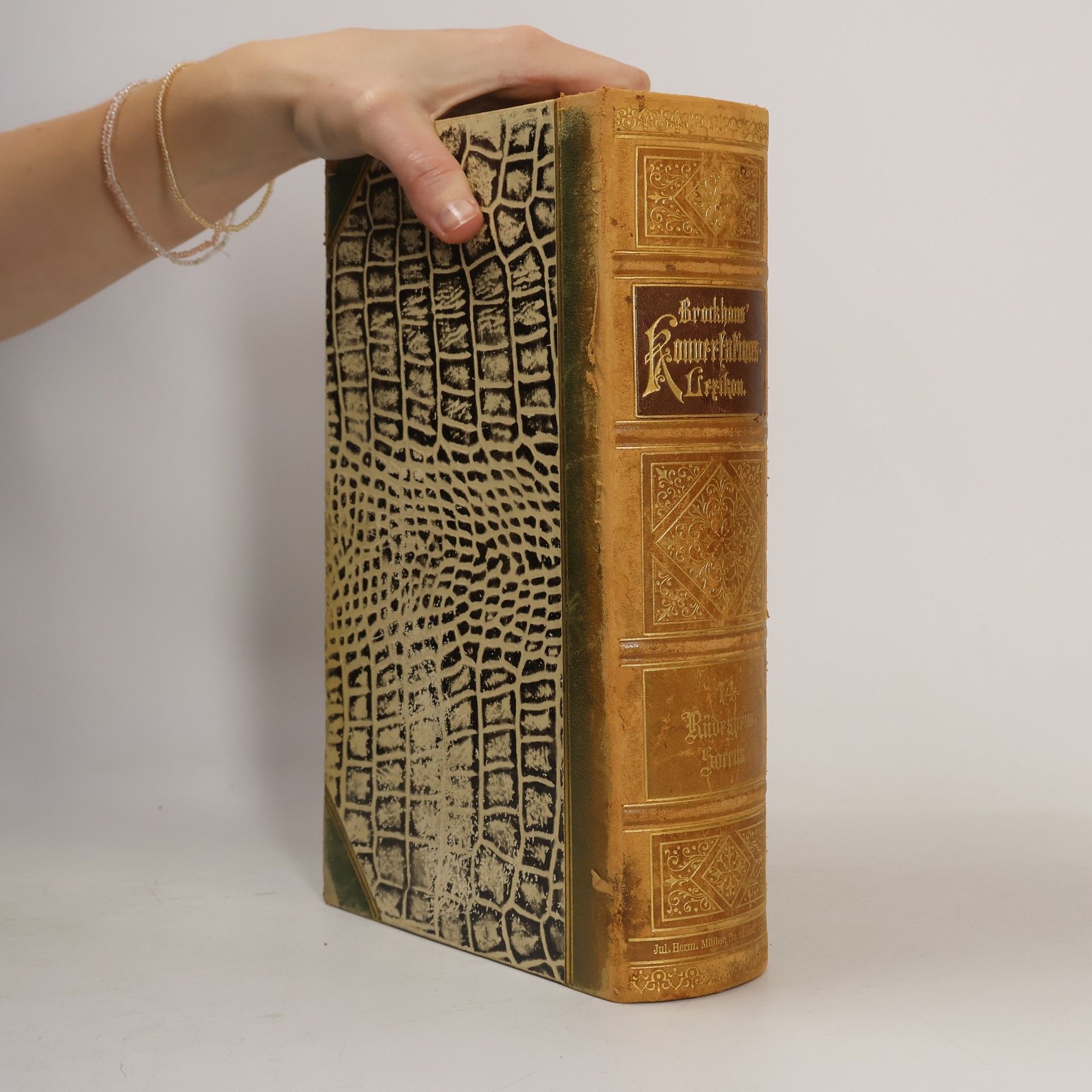 F. A. Brockhaus Brockhaus' Konversations-Lexikon 14