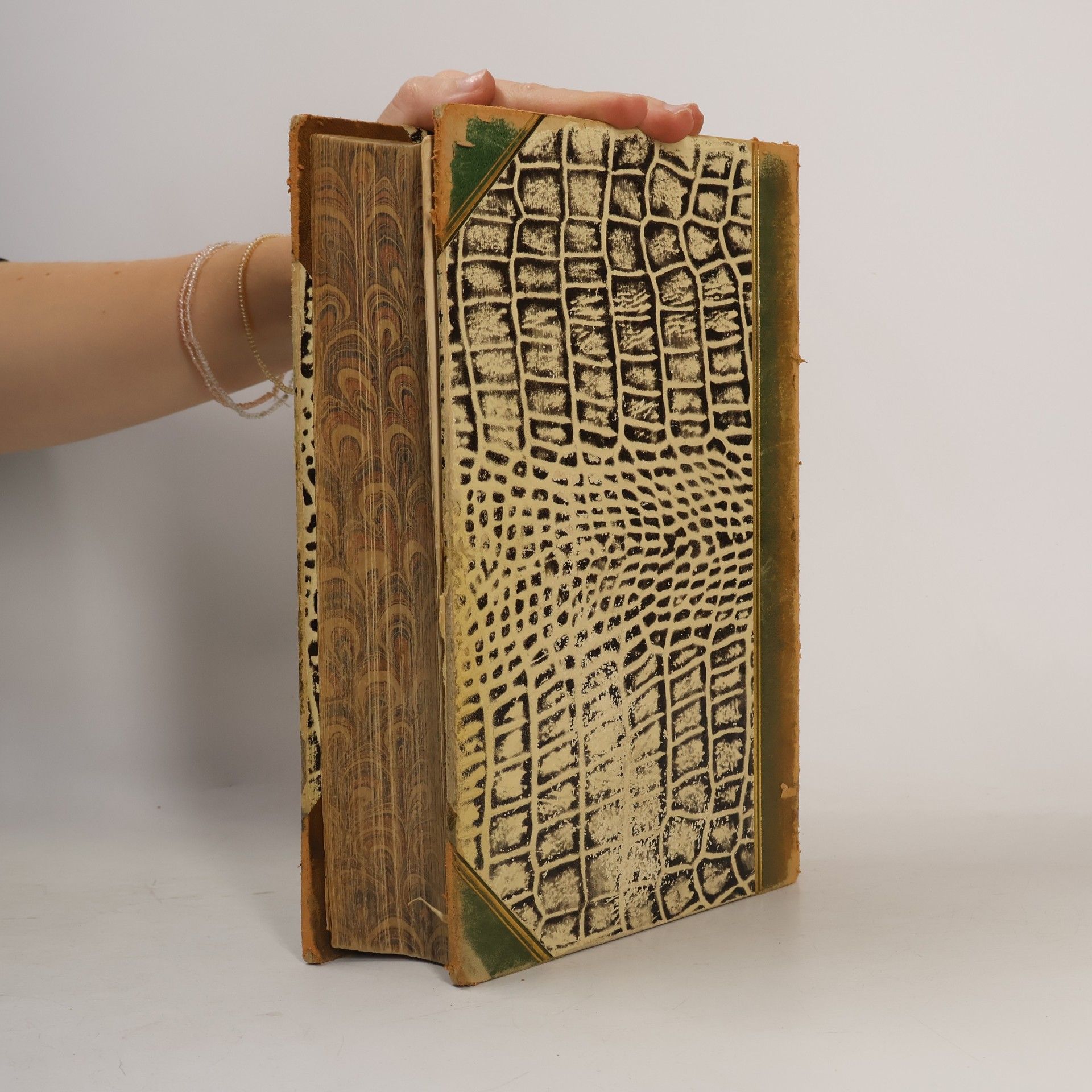 F. A. Brockhaus Brockhaus' Konversations-Lexikon 14