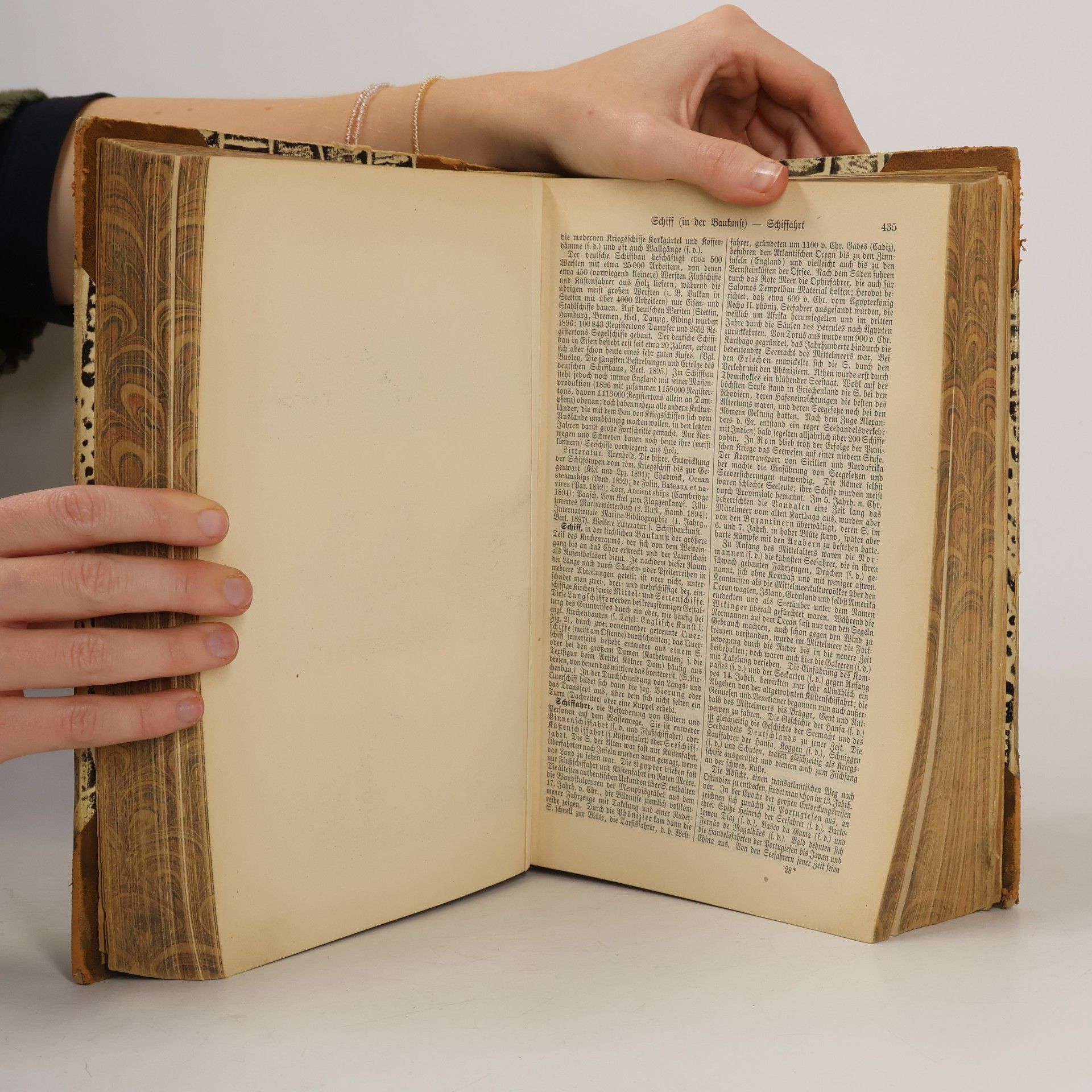 F. A. Brockhaus Brockhaus' Konversations-Lexikon 14