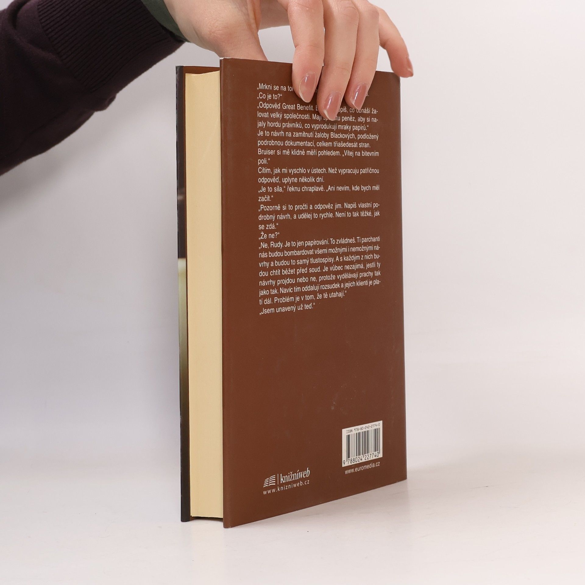 John Grisham Vyvolávač deště