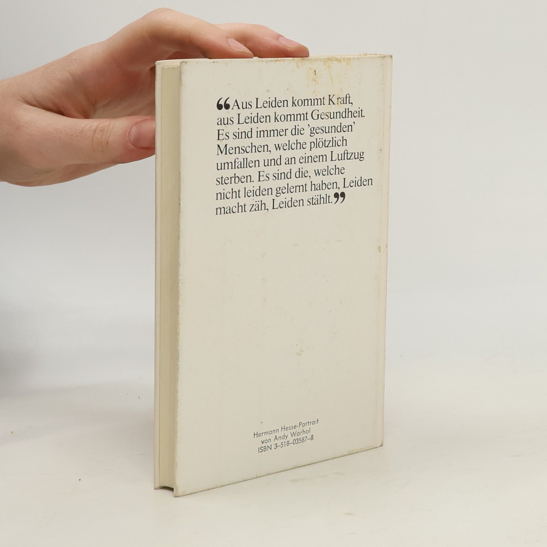 Hermann Hesse Die Hölle ist überwindbar