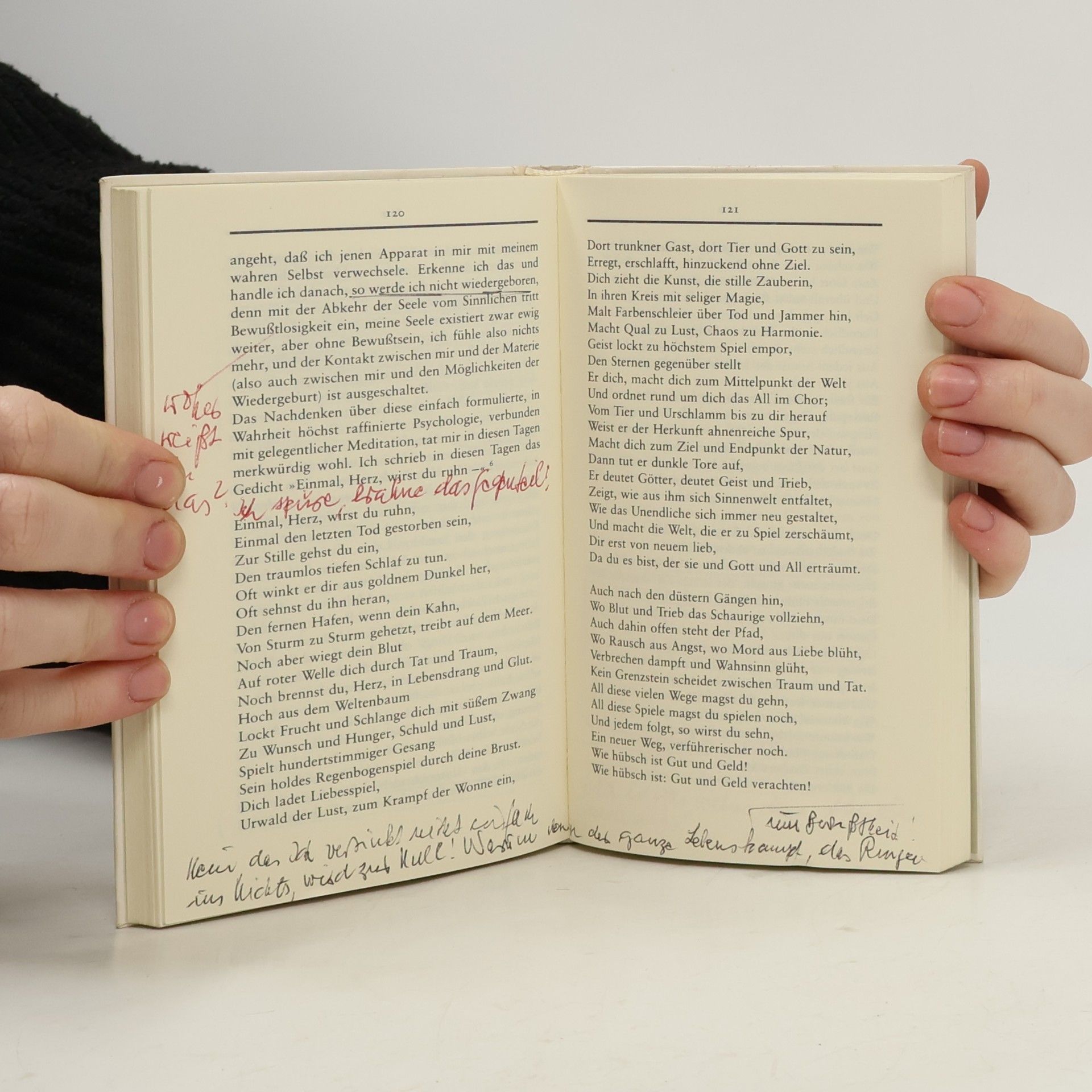 Hermann Hesse Die Hölle ist überwindbar