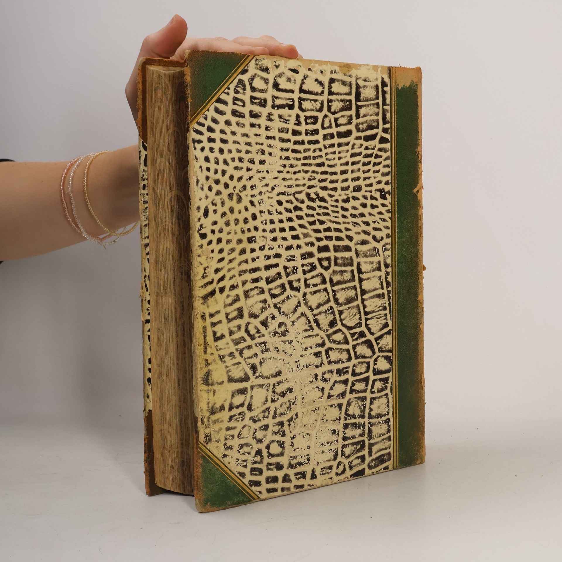 Auteurscollectief Brockhaus Konversations-Lexikon. 12
