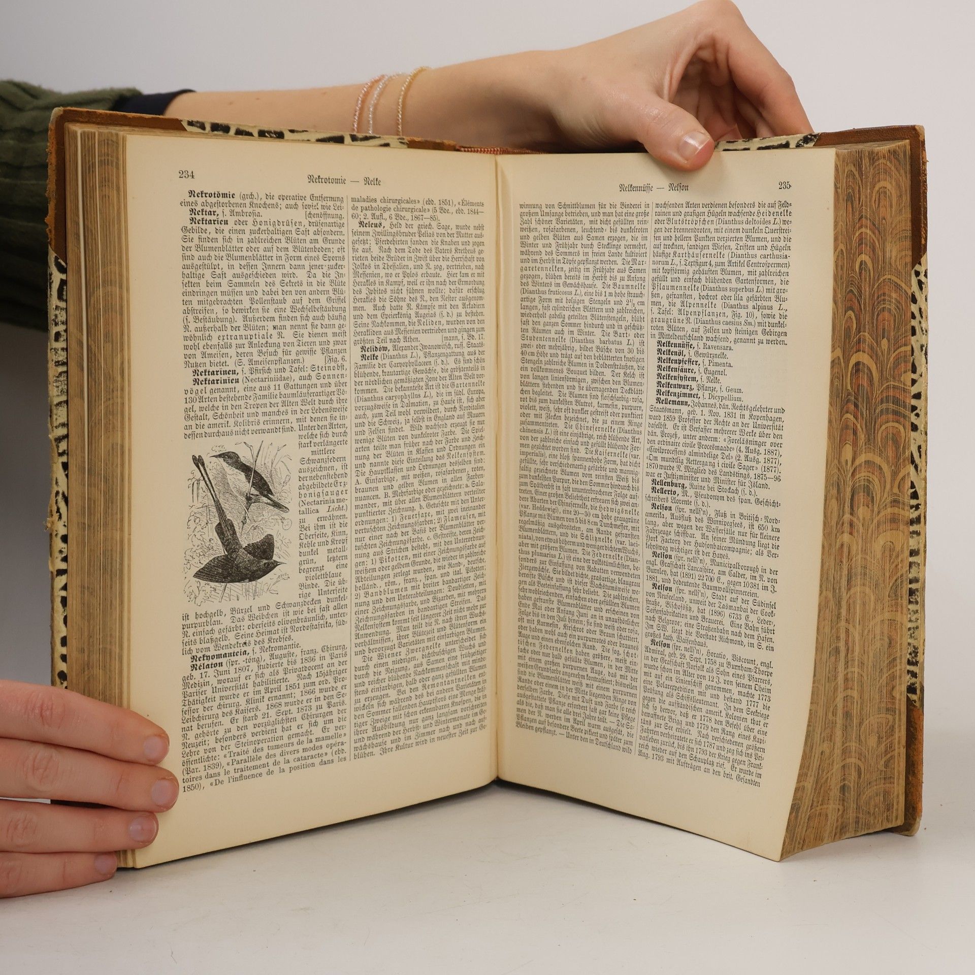 Auteurscollectief Brockhaus Konversations-Lexikon. 12