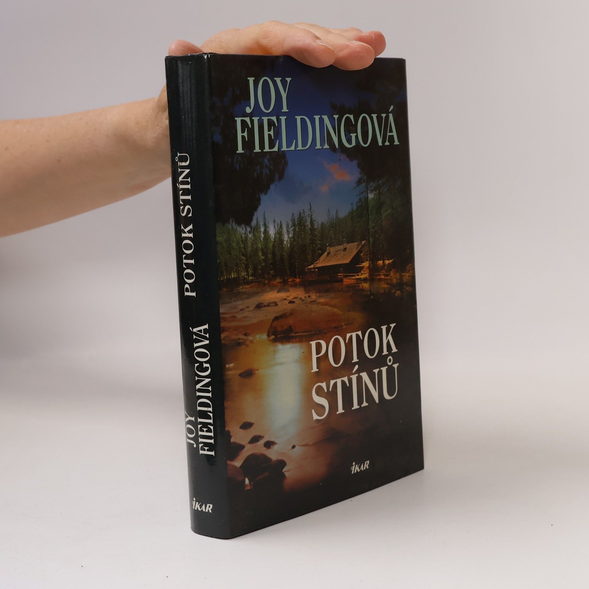 Joy Fielding Potok stínů