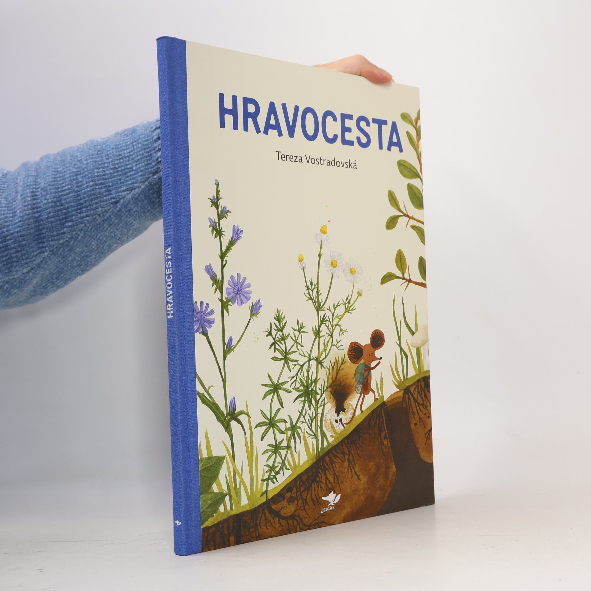 Hravocesta