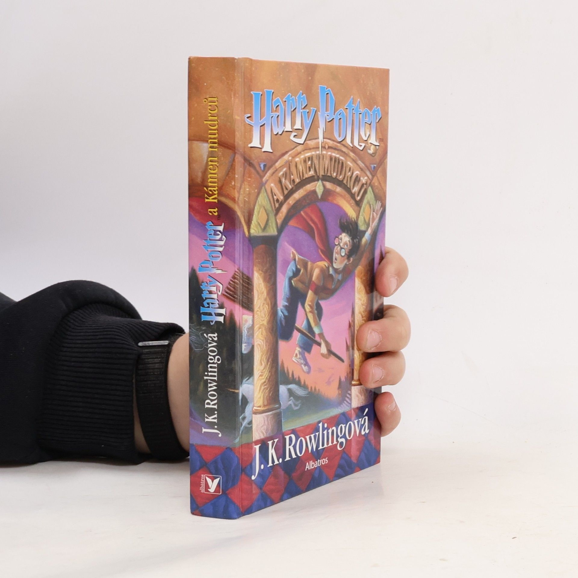 Harry Potter a kámen mudrců