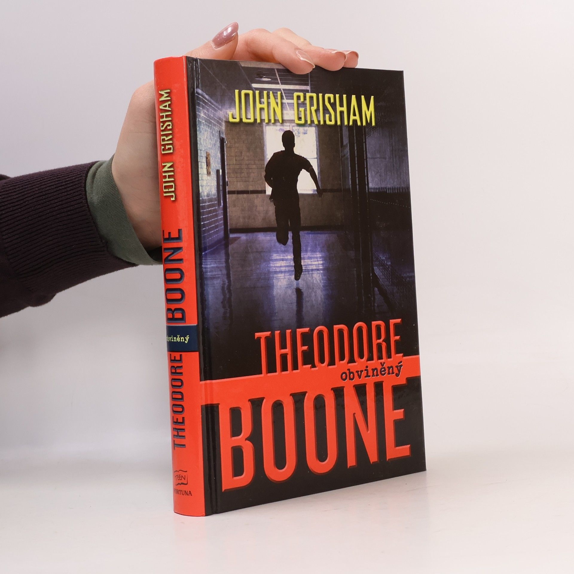 John Grisham Theodore Boone : obviněný