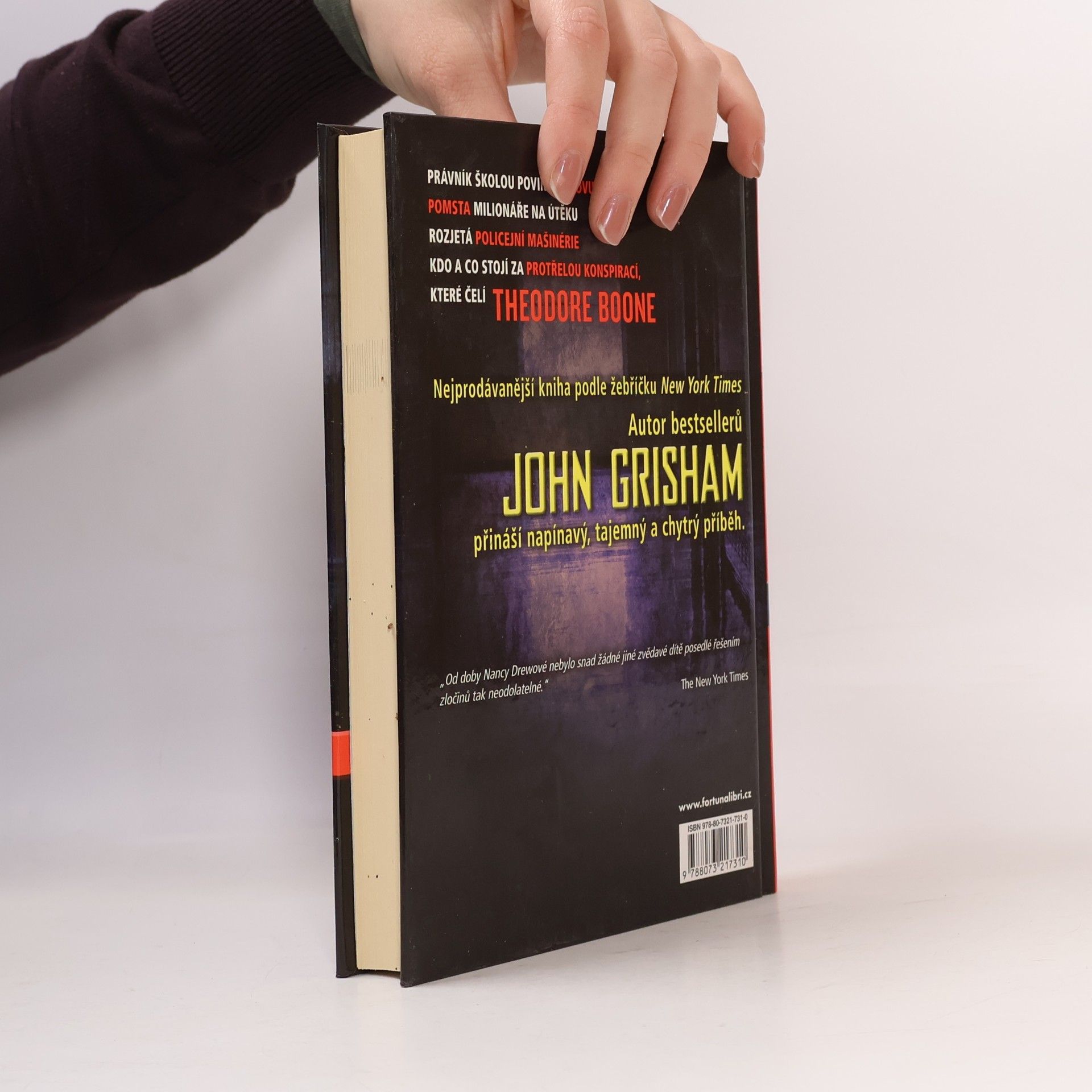 John Grisham Theodore Boone : obviněný