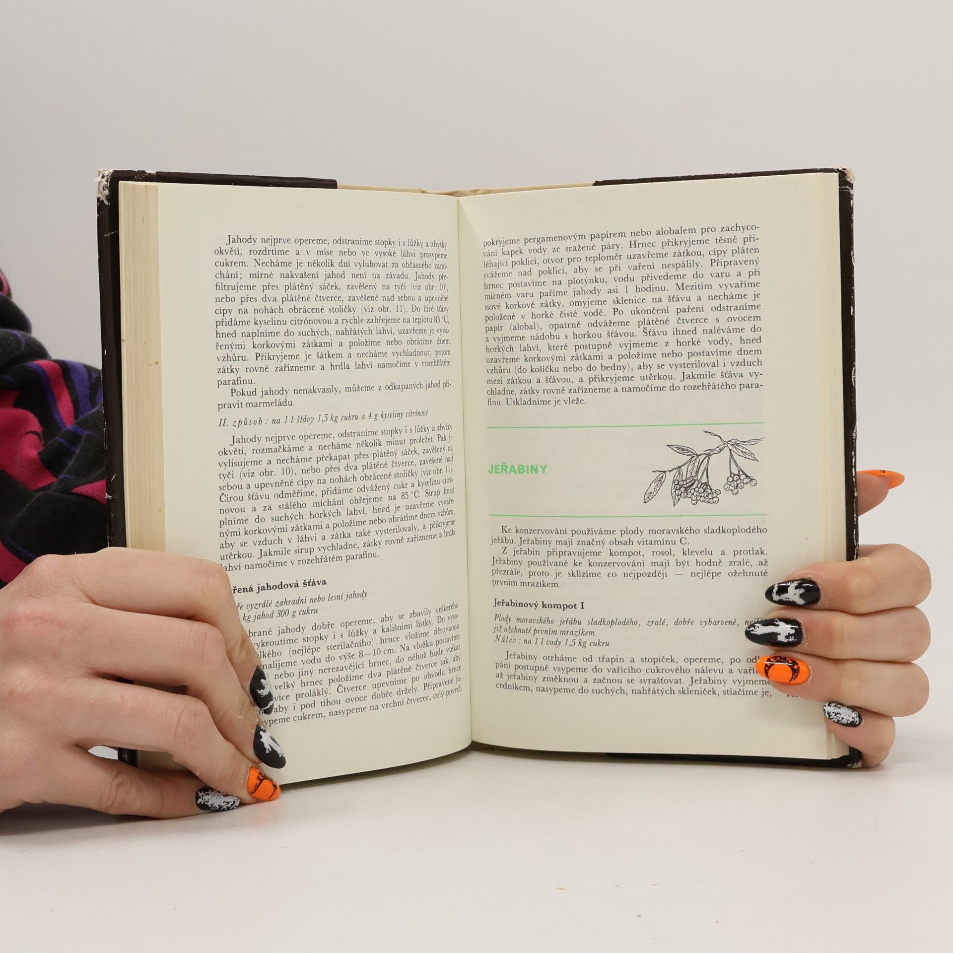 Autorenkollektiv Domácí konzervování ovoce a zeleniny