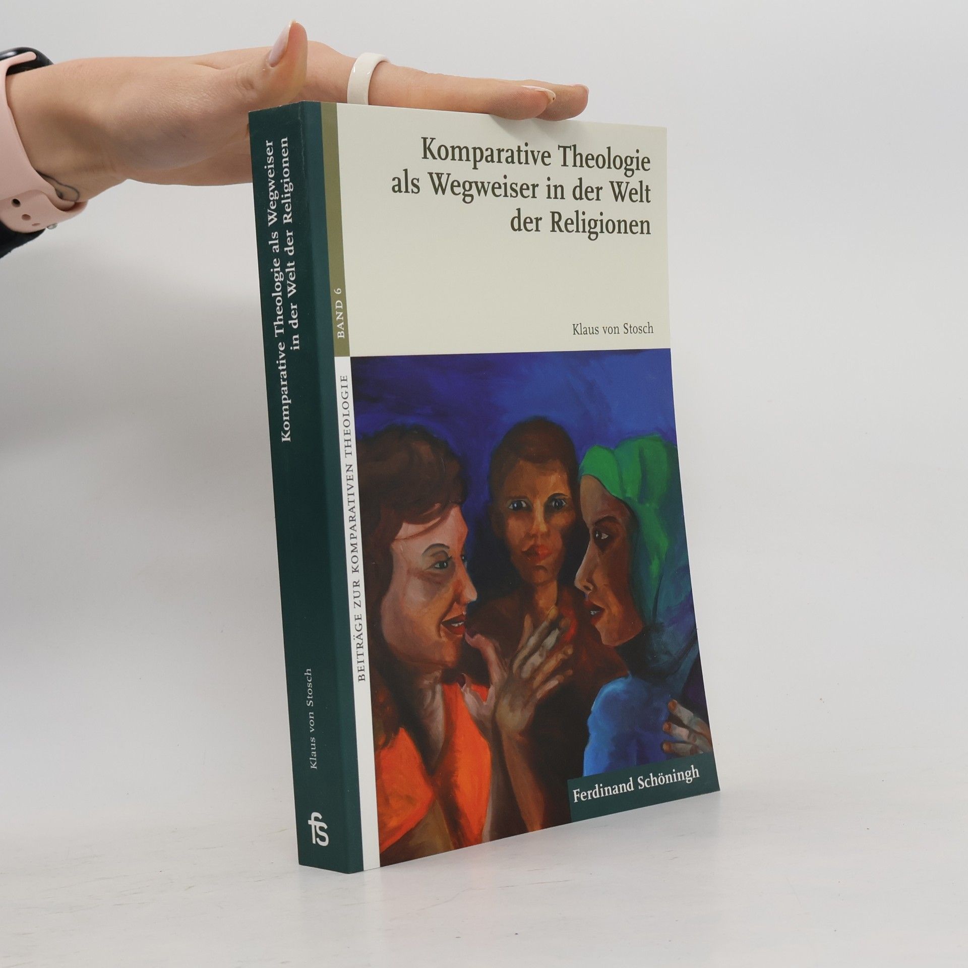 Beiträge zur Komparativen Theologie - 6: Komparative Theologie als Wegweiser in der Welt der Religionen