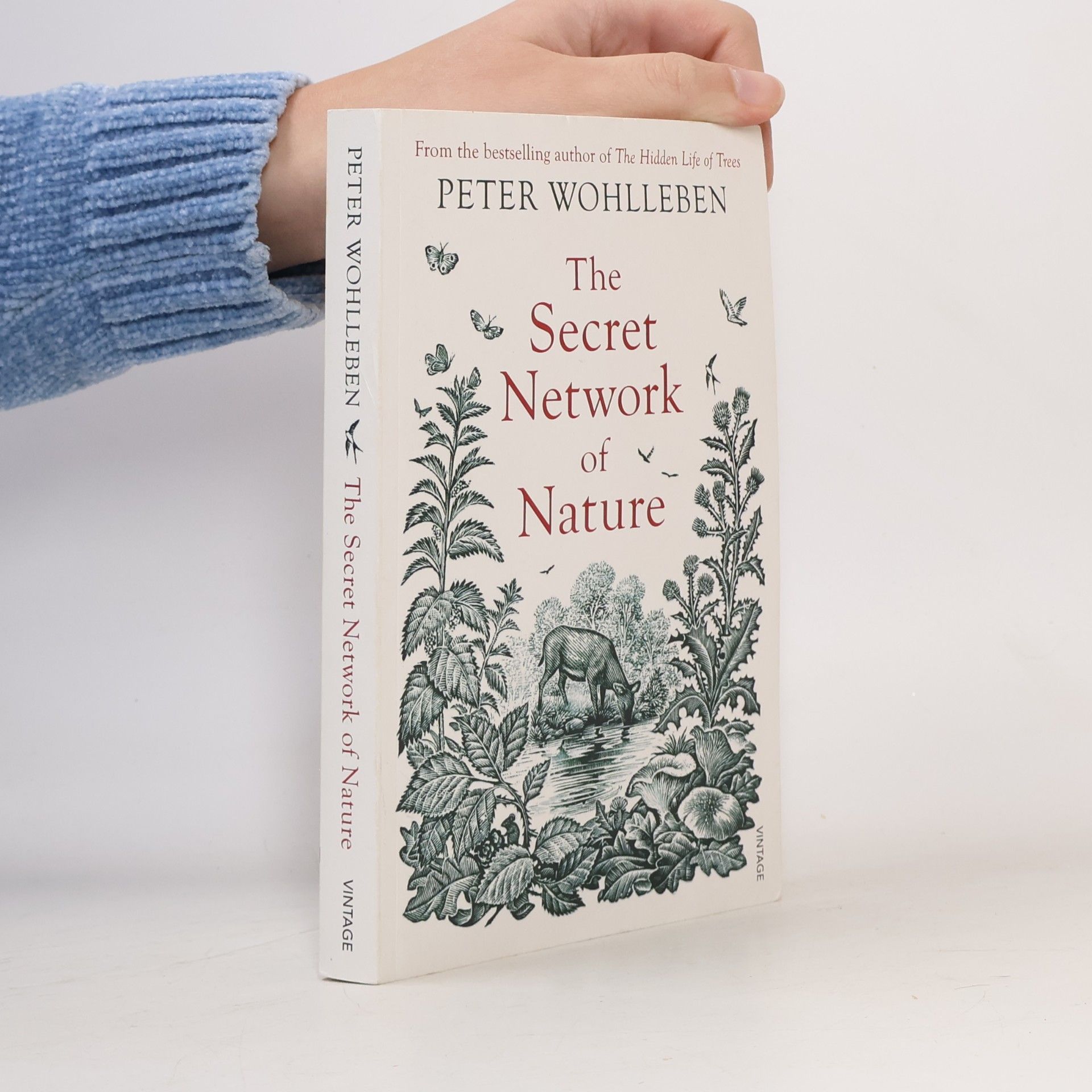 The Secret Network of Nature