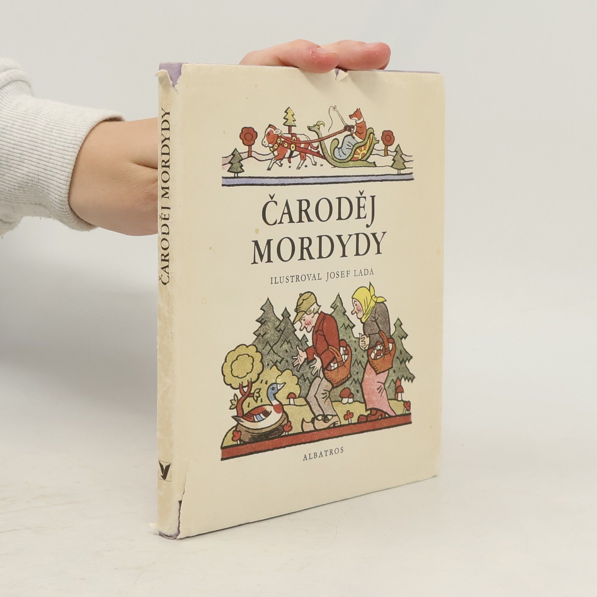 Čaroděj Mordydy