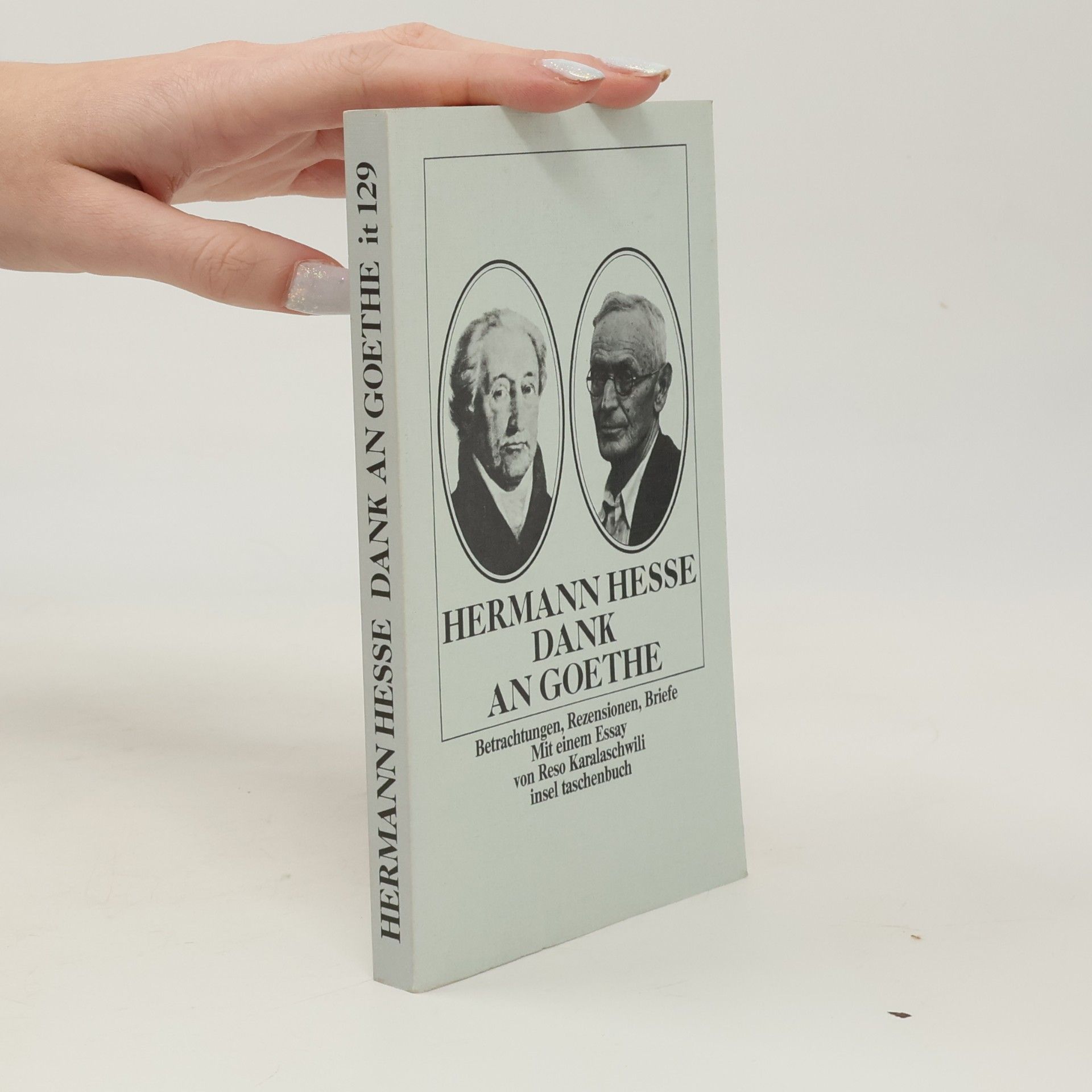 Hermann Hesse Dank an Goethe