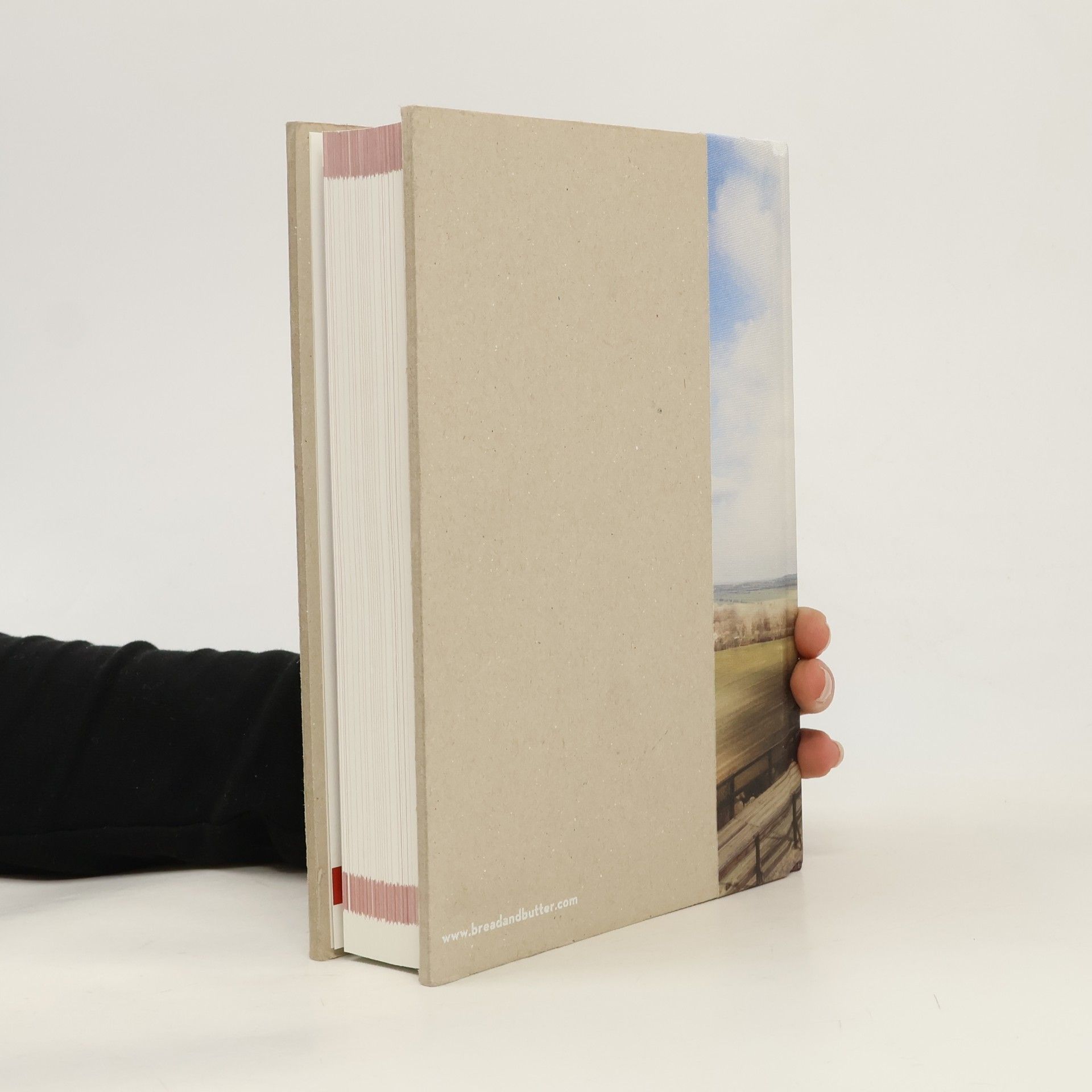 Various authors The Rock. Bread & Butter: Brand Bible