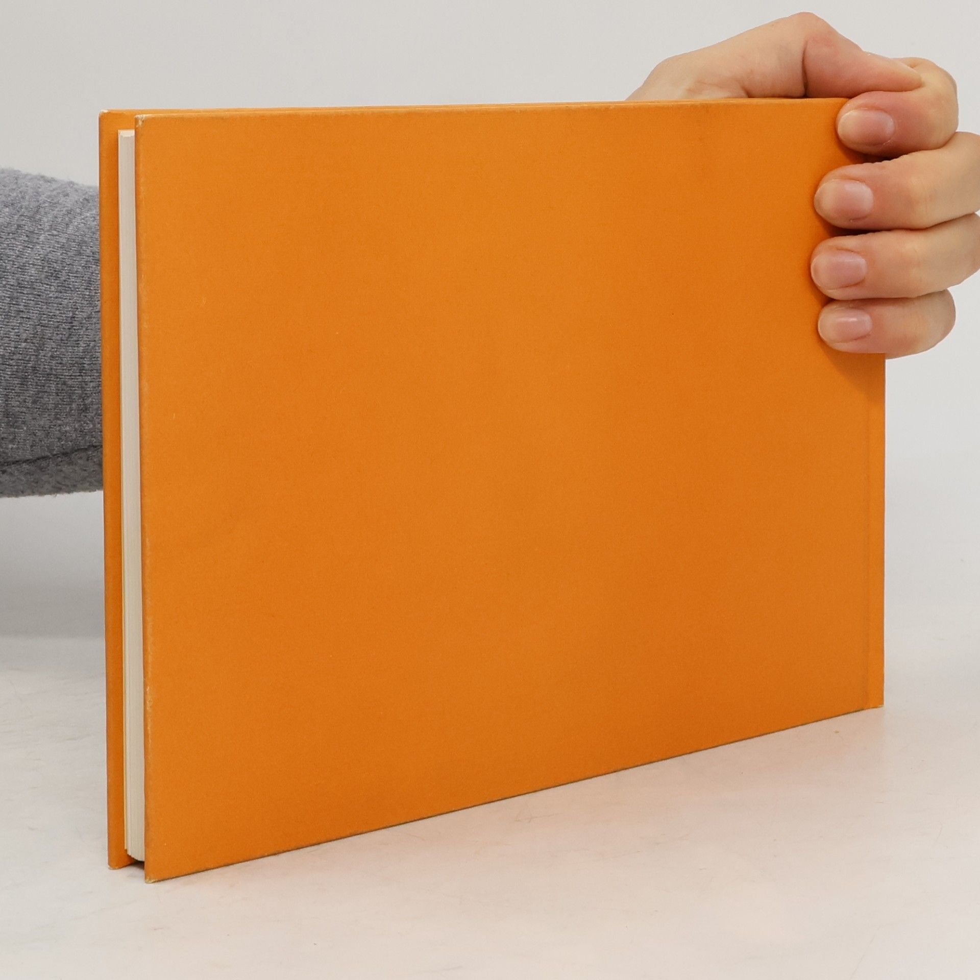 Autores varios Graz in alten Ansichten