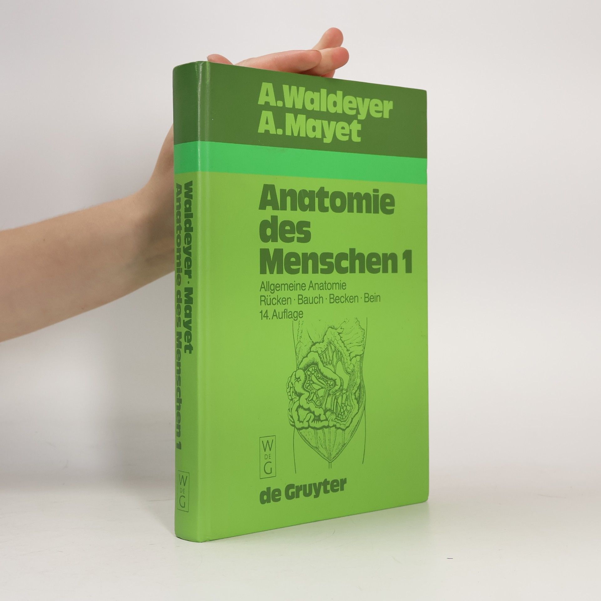 Anatomie des Menschen für Studierende und Ärzte I