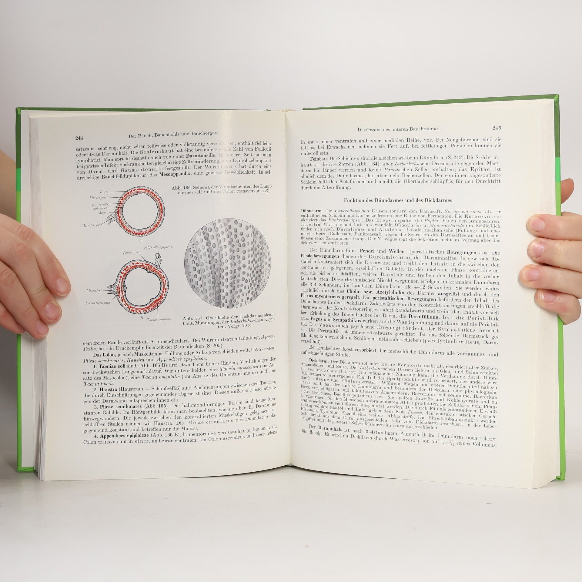 Anton Johannes Waldeyer Anatomie des Menschen für Studierende und Ärzte I