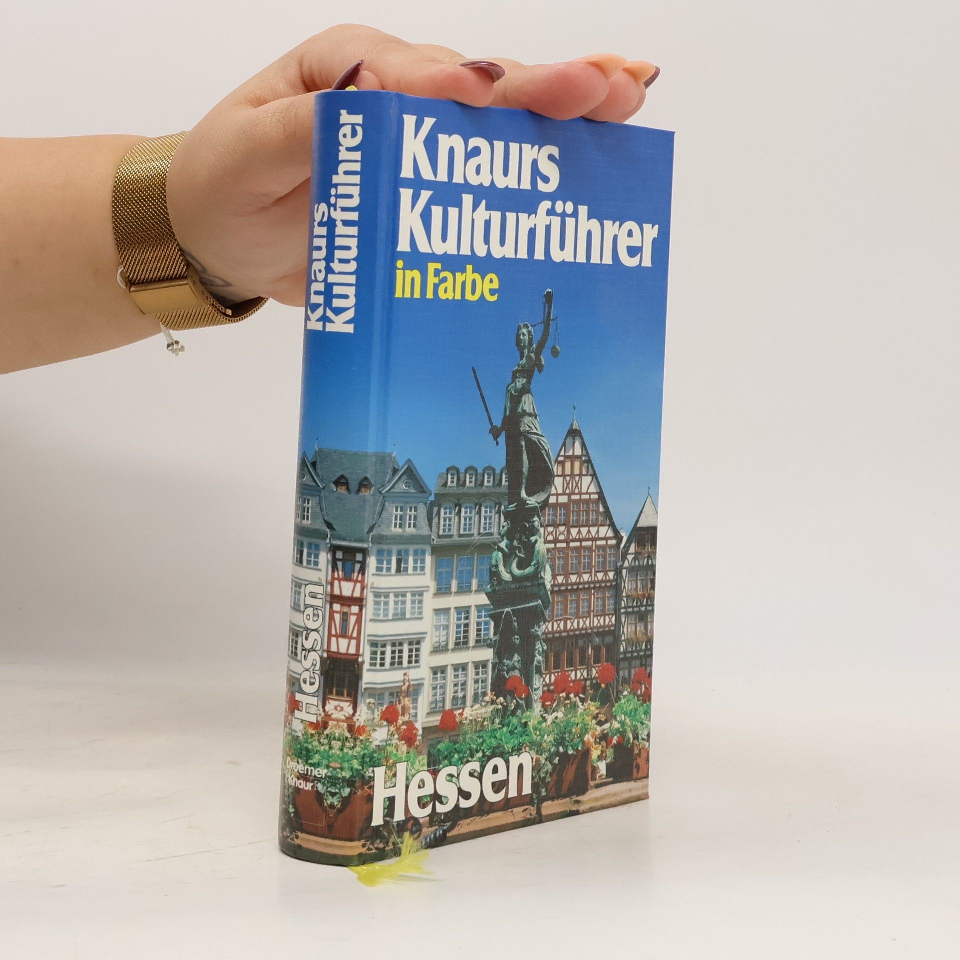 Knaurs Kulturführer in Farbe Hessen