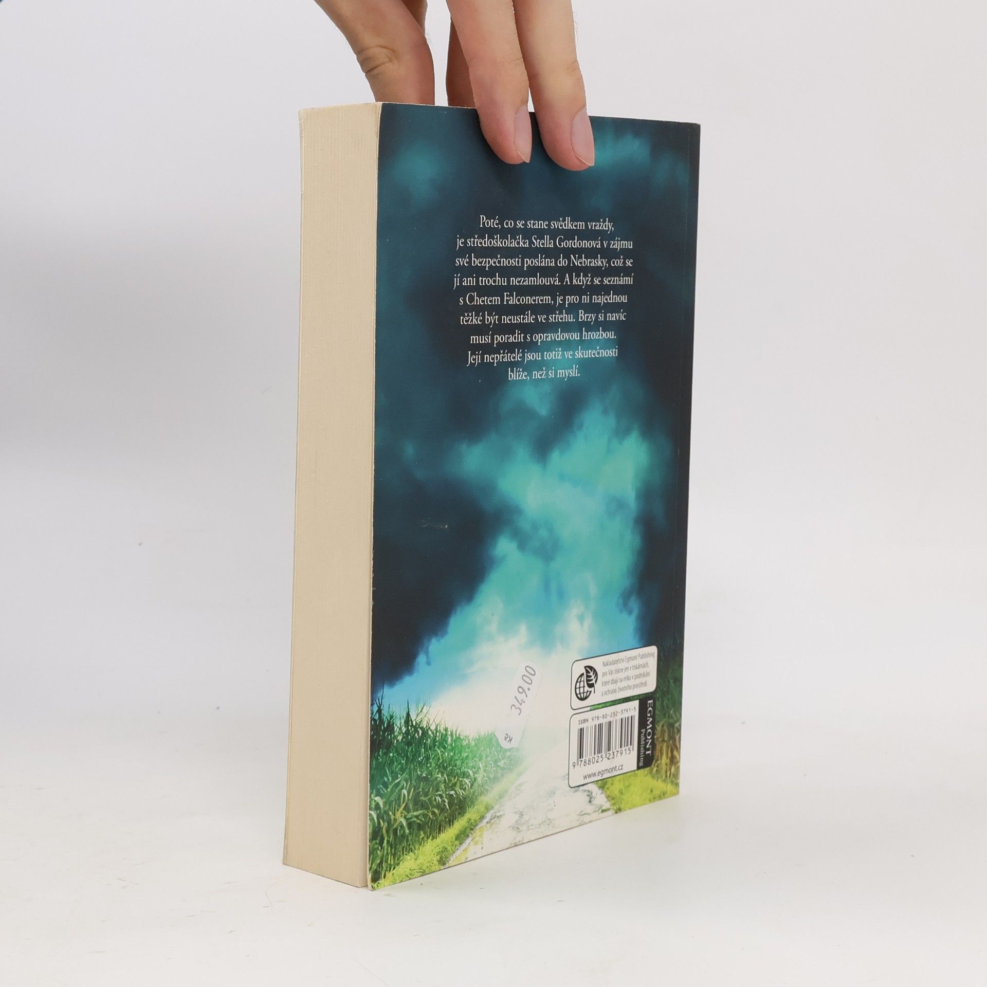 Becca Fitzpatrick Nebezpečné lži