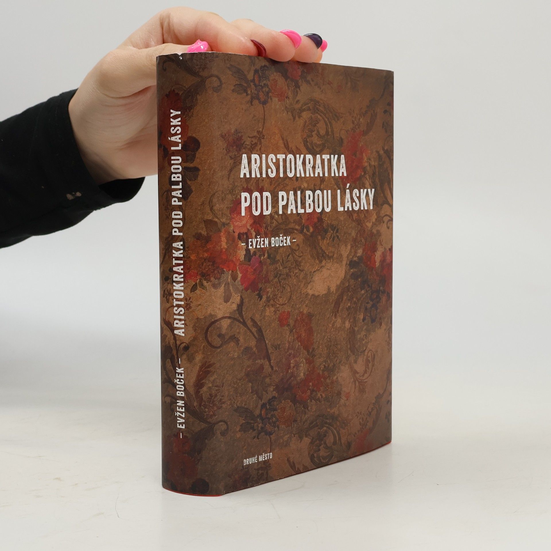 Aristokratka pod palbou lásky