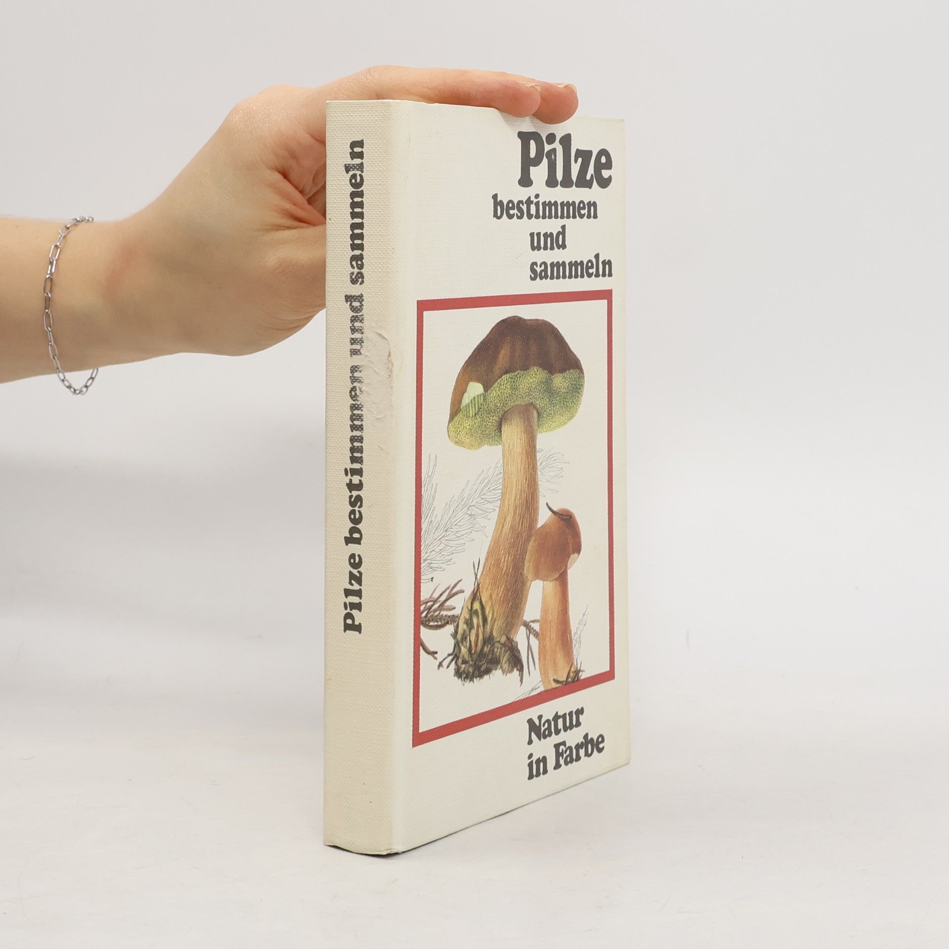 Pilze bestimmen und sammeln