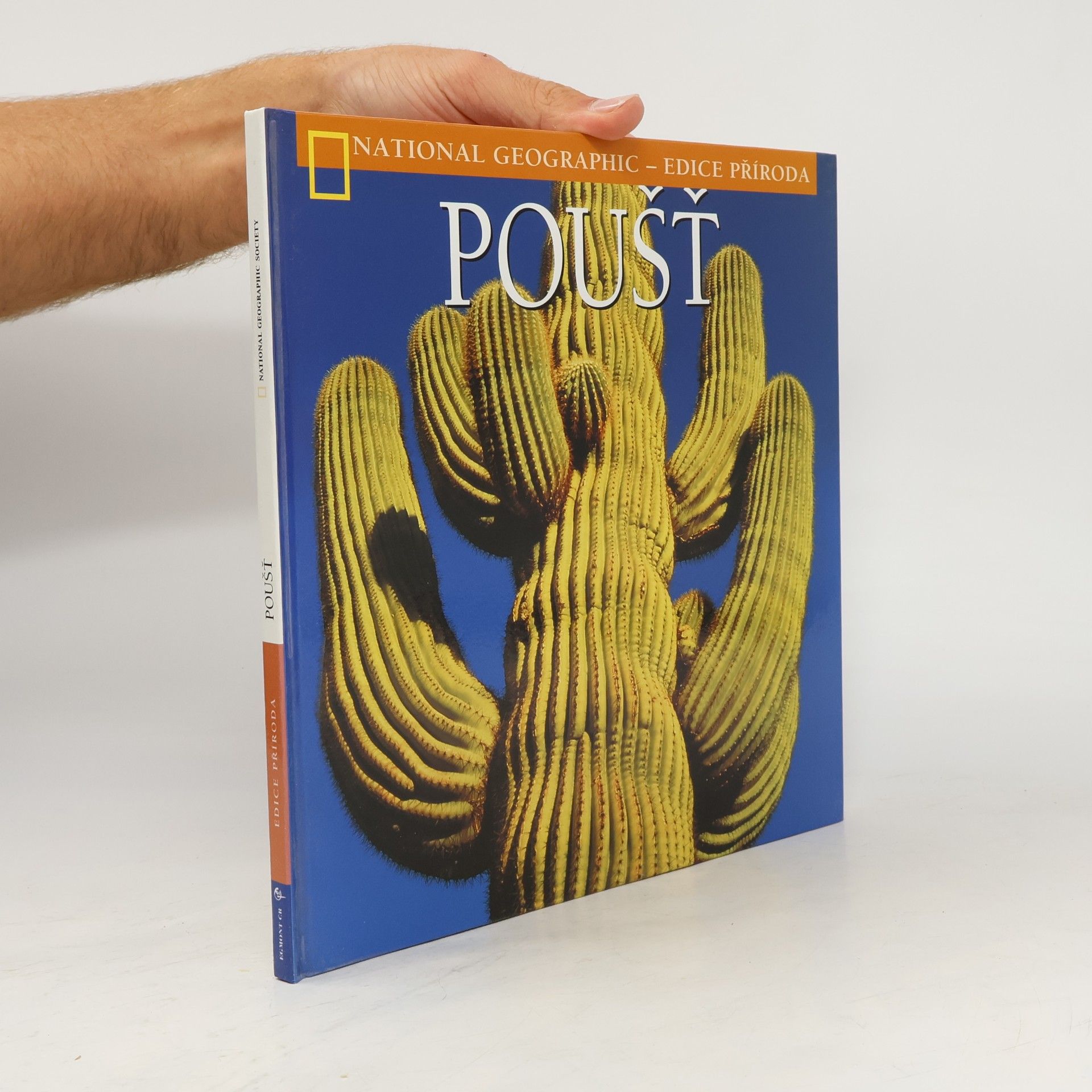Poušť