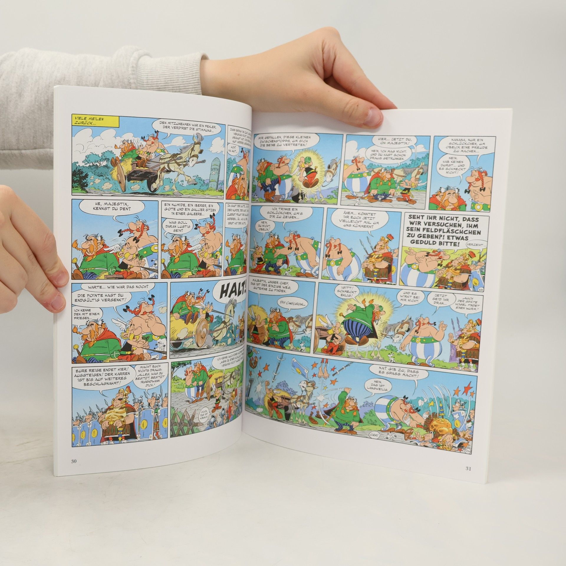 Autorenkollektiv Asterix 40. Die weisse Iris