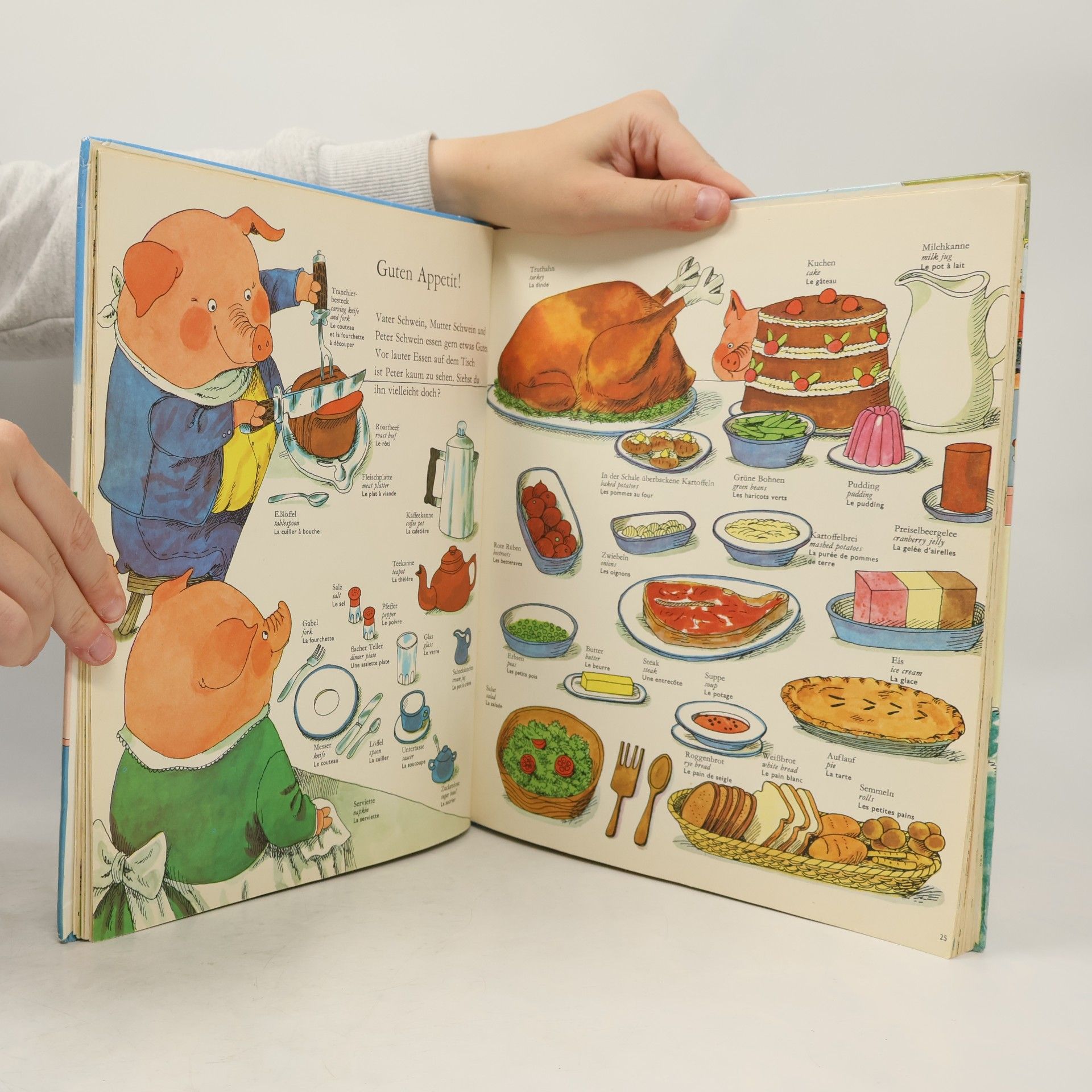 Auteurscollectief Mein allerschönstes Wörterbuch - mit mehr als 1200 bunten Zeichnungen und Wörten - Deutsch, English, Französisch