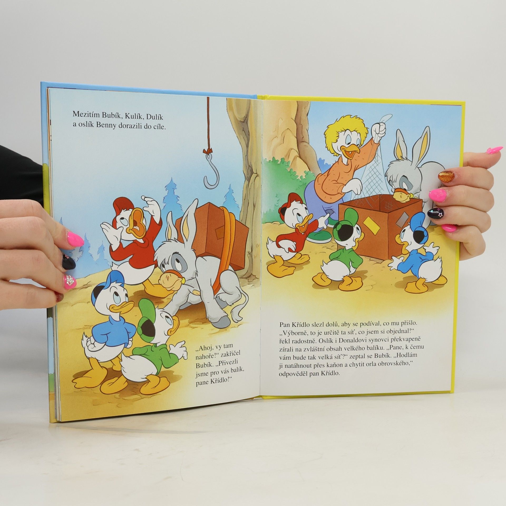 Eva Heřtová Donald listonošem