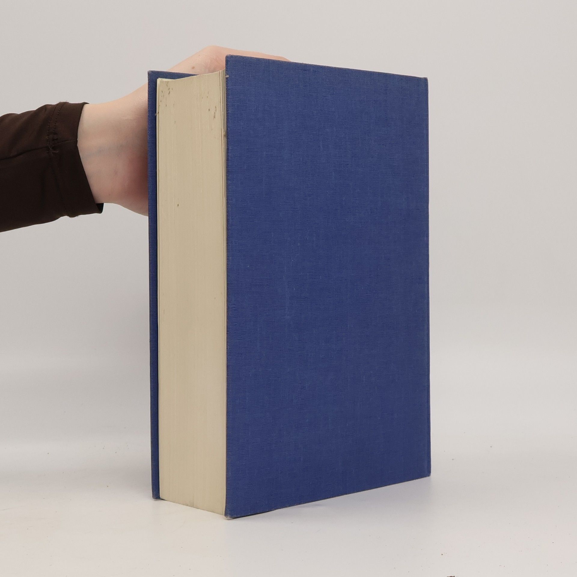 Collectif d'auteurs Großes Handbuch der Mathematik