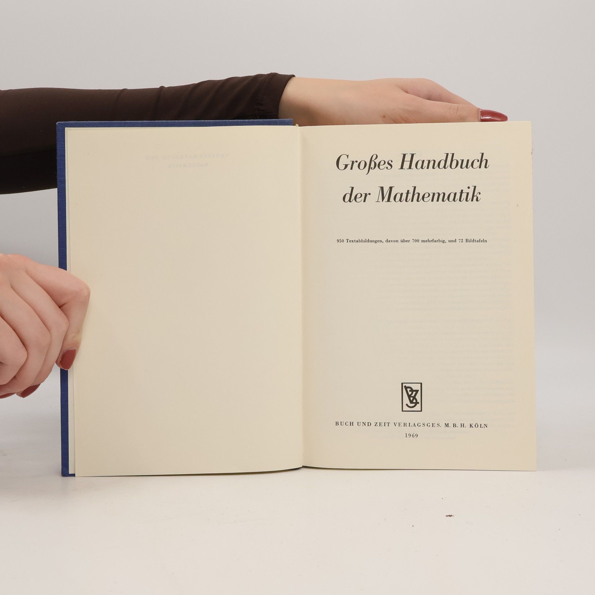 Collectif d'auteurs Großes Handbuch der Mathematik